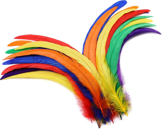 Holmgren Colorful Rooster Tail Feathers - 60pcs 12-14inch Natural Long Rooster Tail Feathers Bulk for DIY Crafts Hats Costume, Holiday Themed Party Decoration (Colorful)