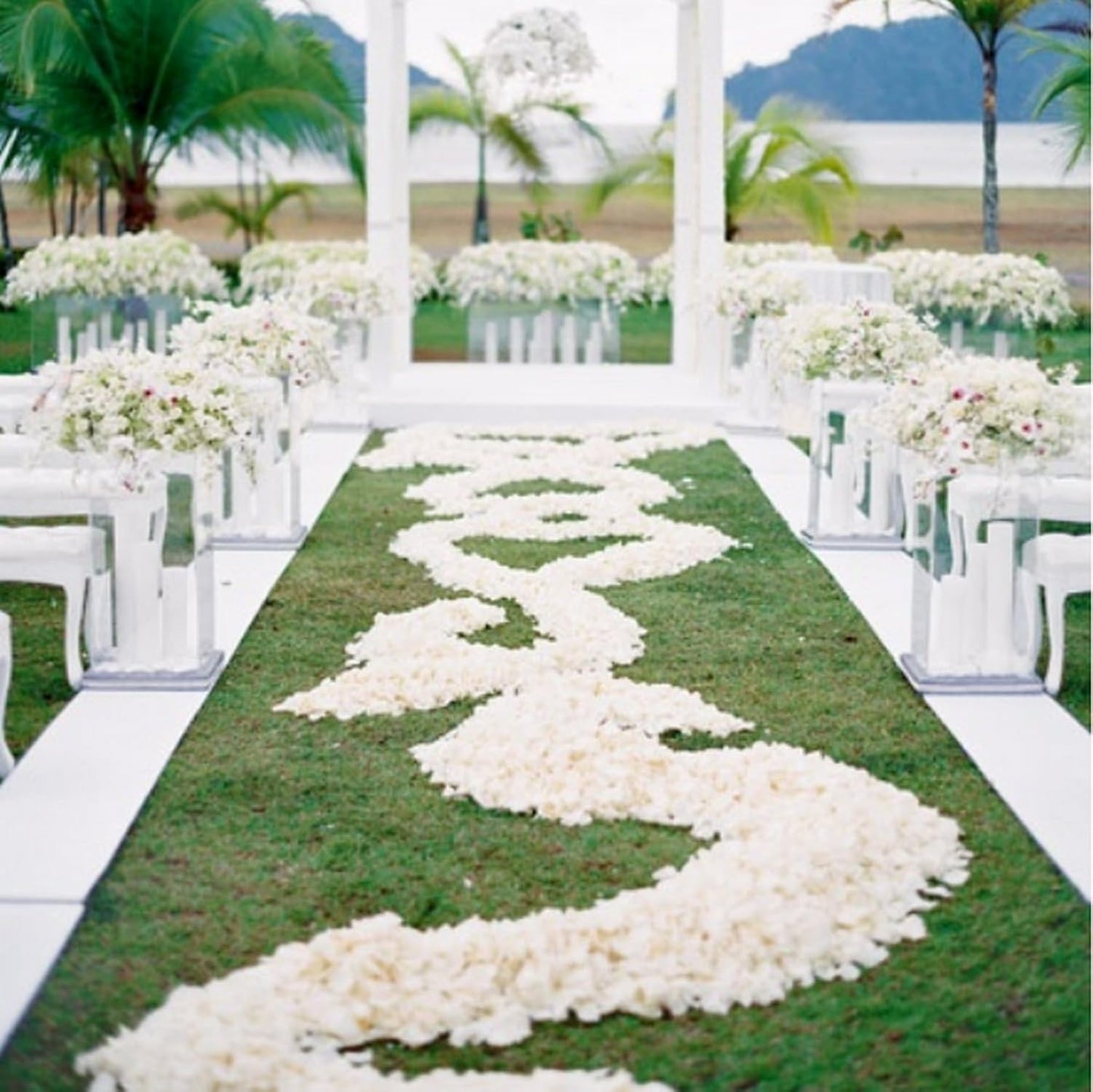 CODE FLORIST 1100 PCS White Silk Rose Petals for Valentine's Day,Romantic Night,Wedding,Proposal Anniversary Flower Decorations(Separated,Scented)