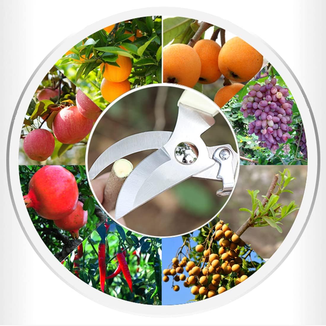 Leize Pruning Shears, Gardening Hand Pruner, Floral Shears, Strong Pruner for Flowers, Branches and Leaves (LightBlueB)