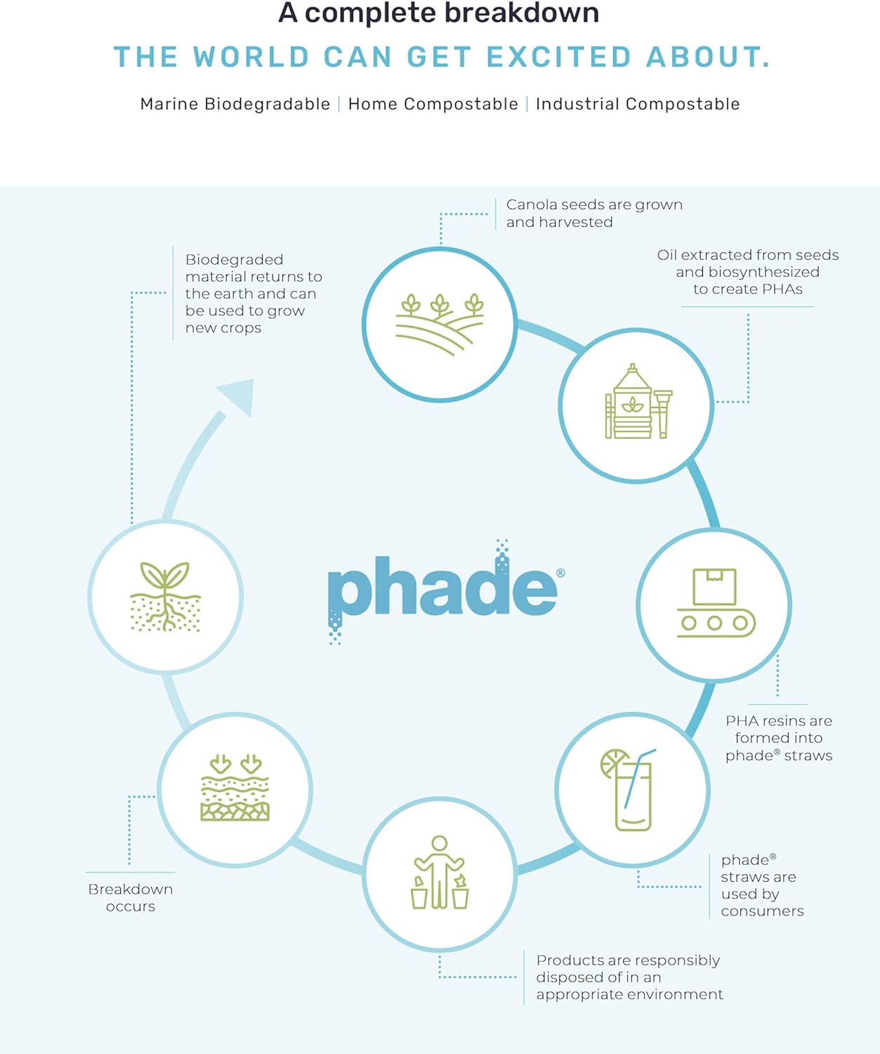 phade Eco-Friendly Cocktail and Coffee Straws/Stirrers 1,000 Count - Sustainable Marine Biodegradable Compostable Stirrer, 1 Pack