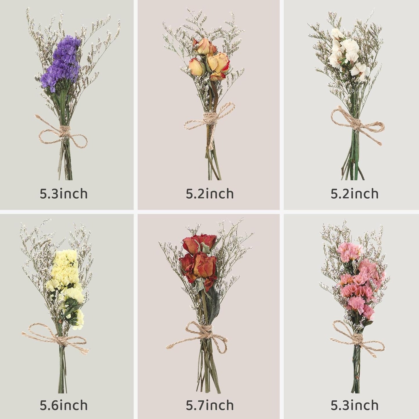 12/24 Pack Dried Flowers for Vase Various Mini Bouquet Dried Small Wildflowers Natural Real Flowers Bulk for Crafts DIY Wedding Decor (12, Forget Me Not)