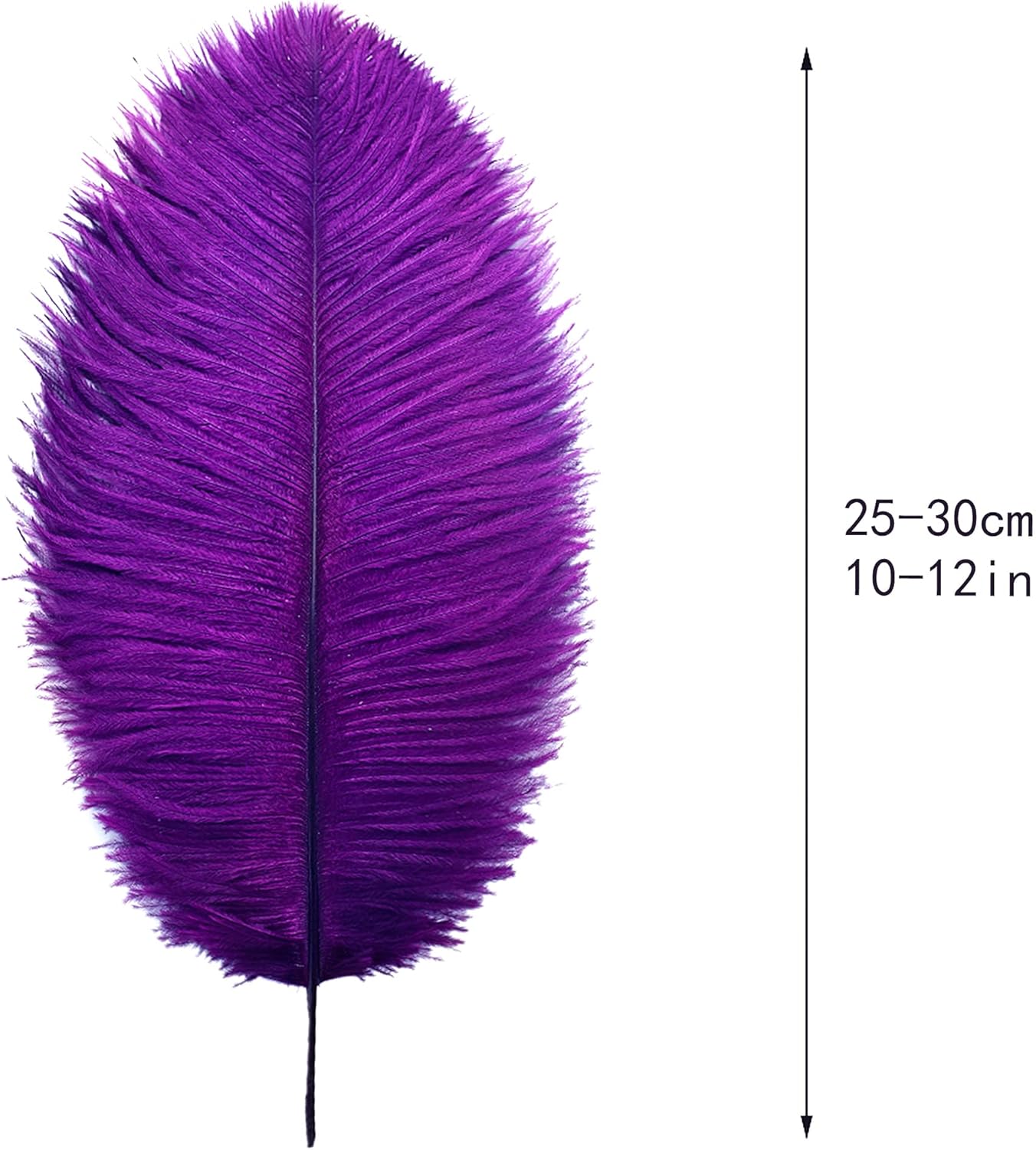 Ballinger Purple Ostrich Feathers Bulk - 24Pcs 10-12inch Feathers for Vase, Party Centerpieces Mardi Gras and Home Decor