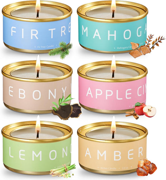 VTS Fall Candles Set, 6 Pack Aromatherapy Candles (Apple Cinnamon, Fir Tree, Mahogany, Ebony Wood, Lemongrass, Amber), Candle Gifts for Men Women for Christmas Birthday