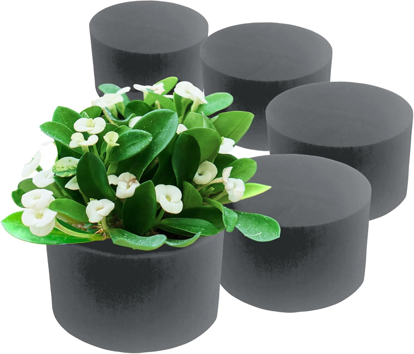 XCEL Floral Foam Blocks - Reusable, Weather Resistant Foam - Perfect for Fresh & Artificial Flower Arrangements, Crafts, Planter Boxes, Home Decor & More - 6-Pk, Gray (5” x 3”, Round)