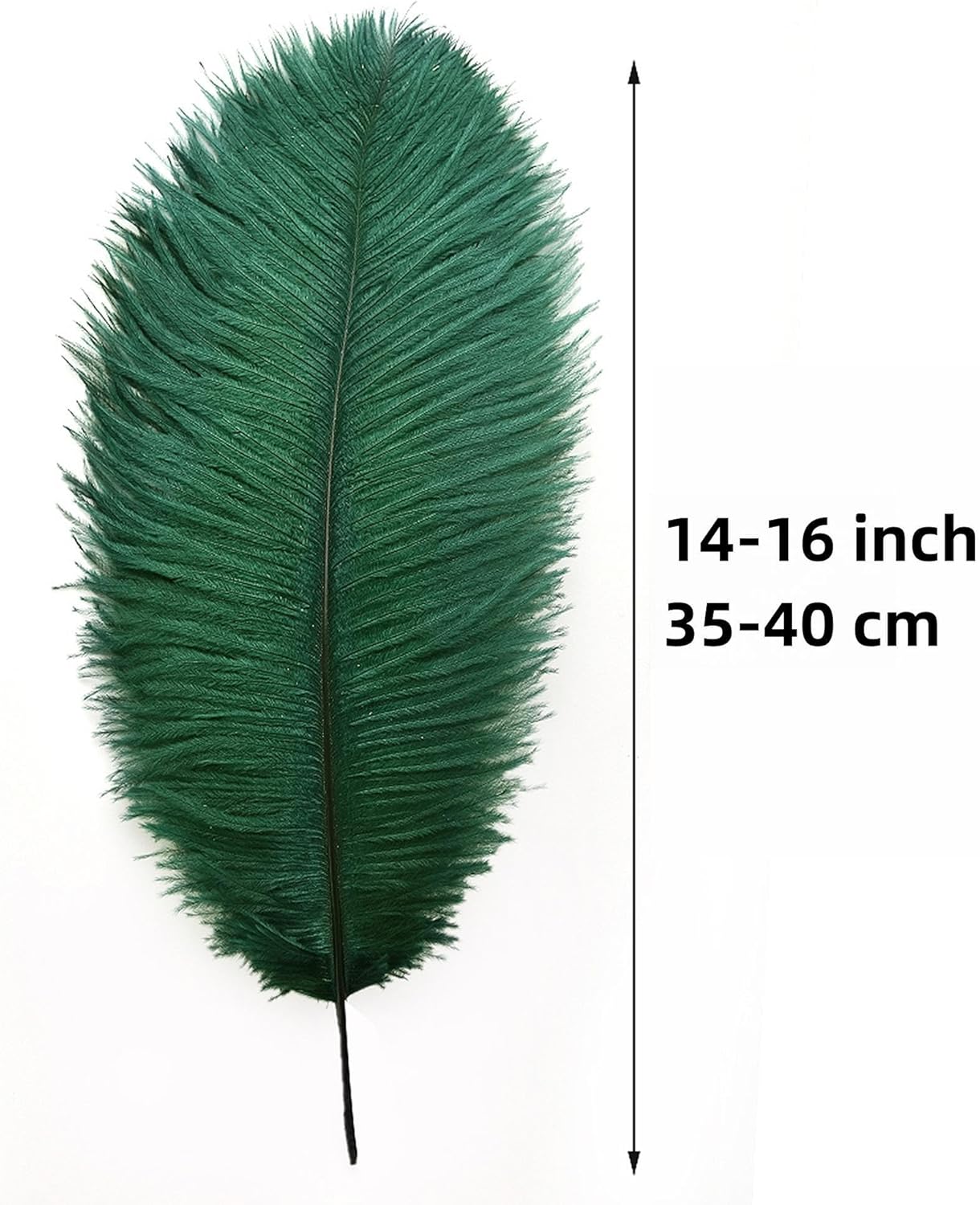 Ballinger Green Long Ostrich Feathers - 12Pcs 14-16inch Large Feathers for Tall Vase,Wedding Party Centerpieces and Holiday Home Decor