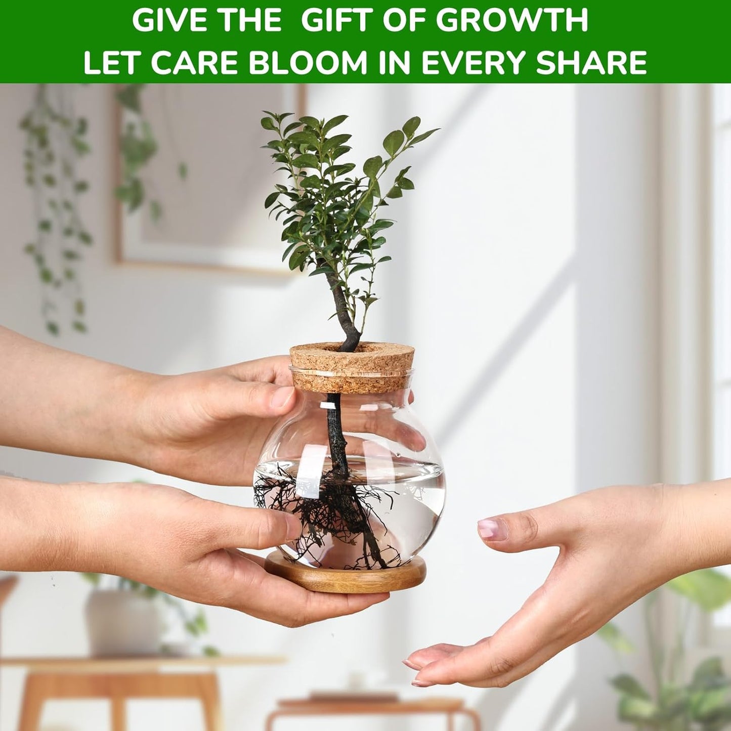 Propagation Station, Larger Capacity Ball Vase with Base for Hydroponic Plants, Home/Office Decor & Gift for Plant Lovers, 2pcs Glass Terrariums