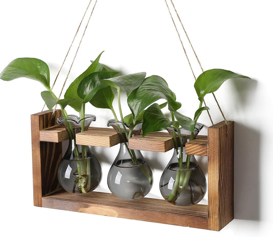 Plant Propagation Station Plant Terrarium Unique Birthday Gifts for Women Home Office Decor Planter with Wooden Stand - 3 Bulb Glass Vase