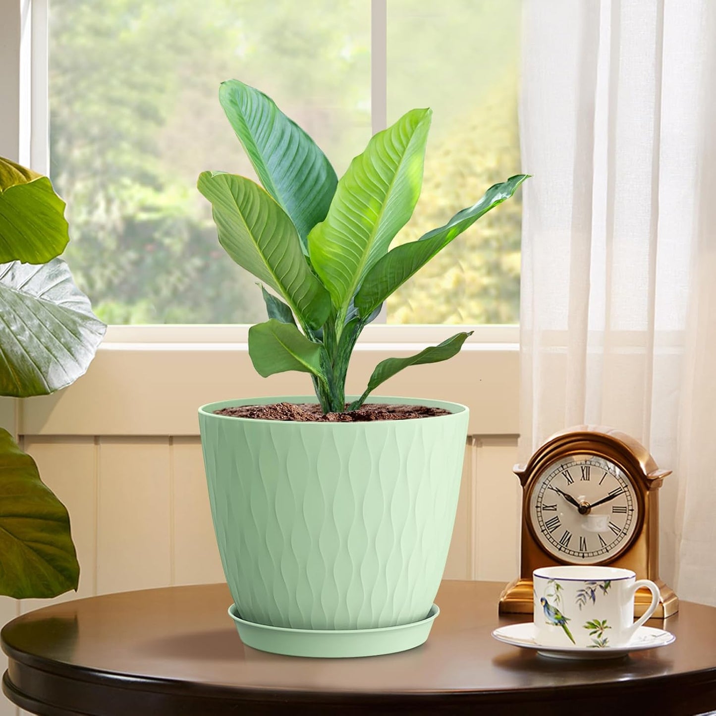 6 inch Plant Pots, 5 Pack Flower Pots with Drainage Holes and Saucers for Indoor Plants, Plastic Planters with Water Ripple for Small Garden House Plants, Nursery Pots for Succulent, Green