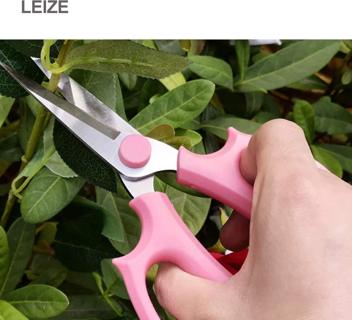 Leize Flower Scissors, Premium Thickened Stainless Steel Floral Shears, Strong Pruner for Flowers, Branches and Leaves (Purple Slender)