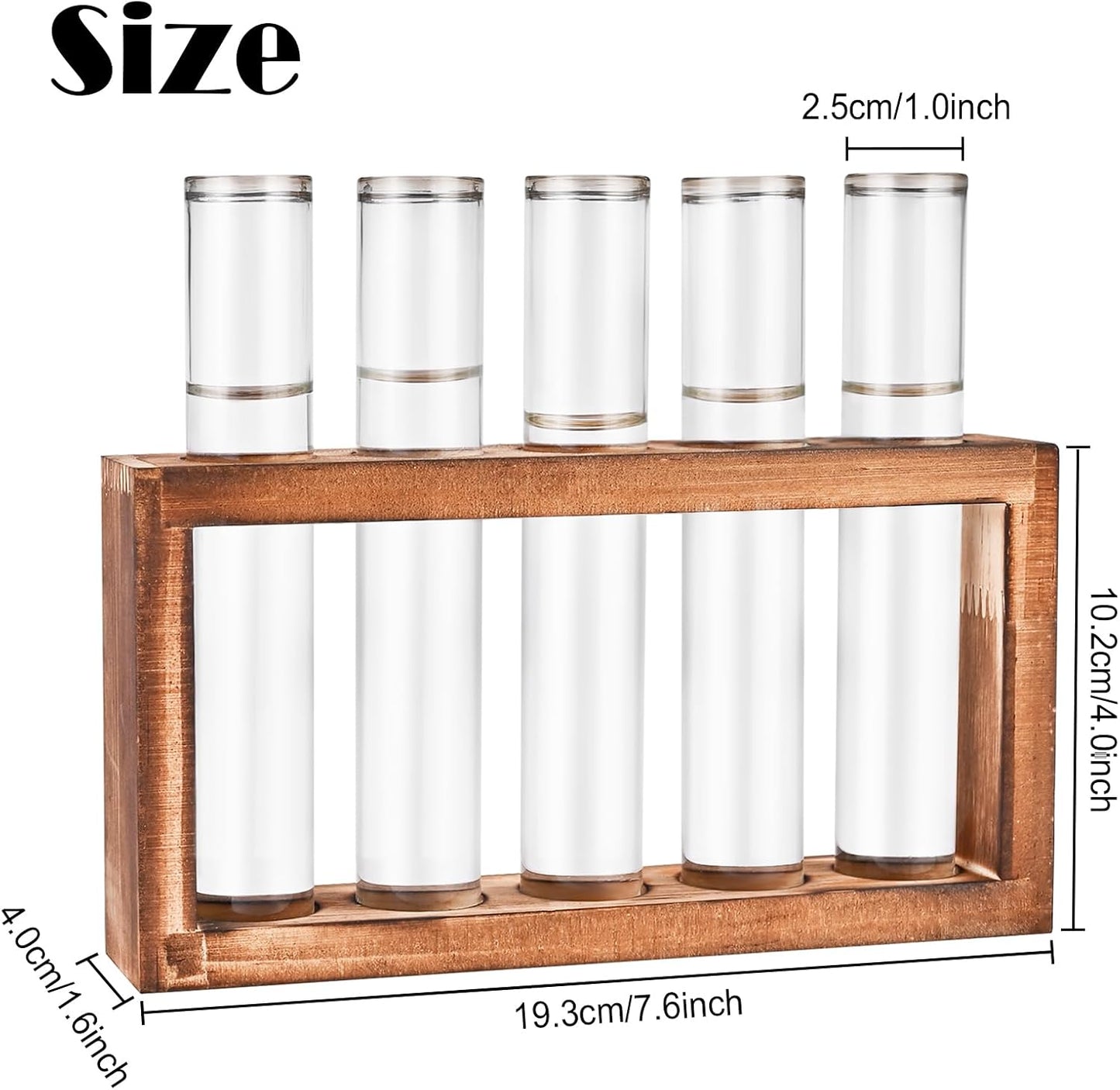 Desktop Glass Plant Propagation Station with 5 Test Tubes in Wooden Stand - Hydroponic Plants Cutting Office Home Decoration and Garden Decor Terrarium (5 Tubes)
