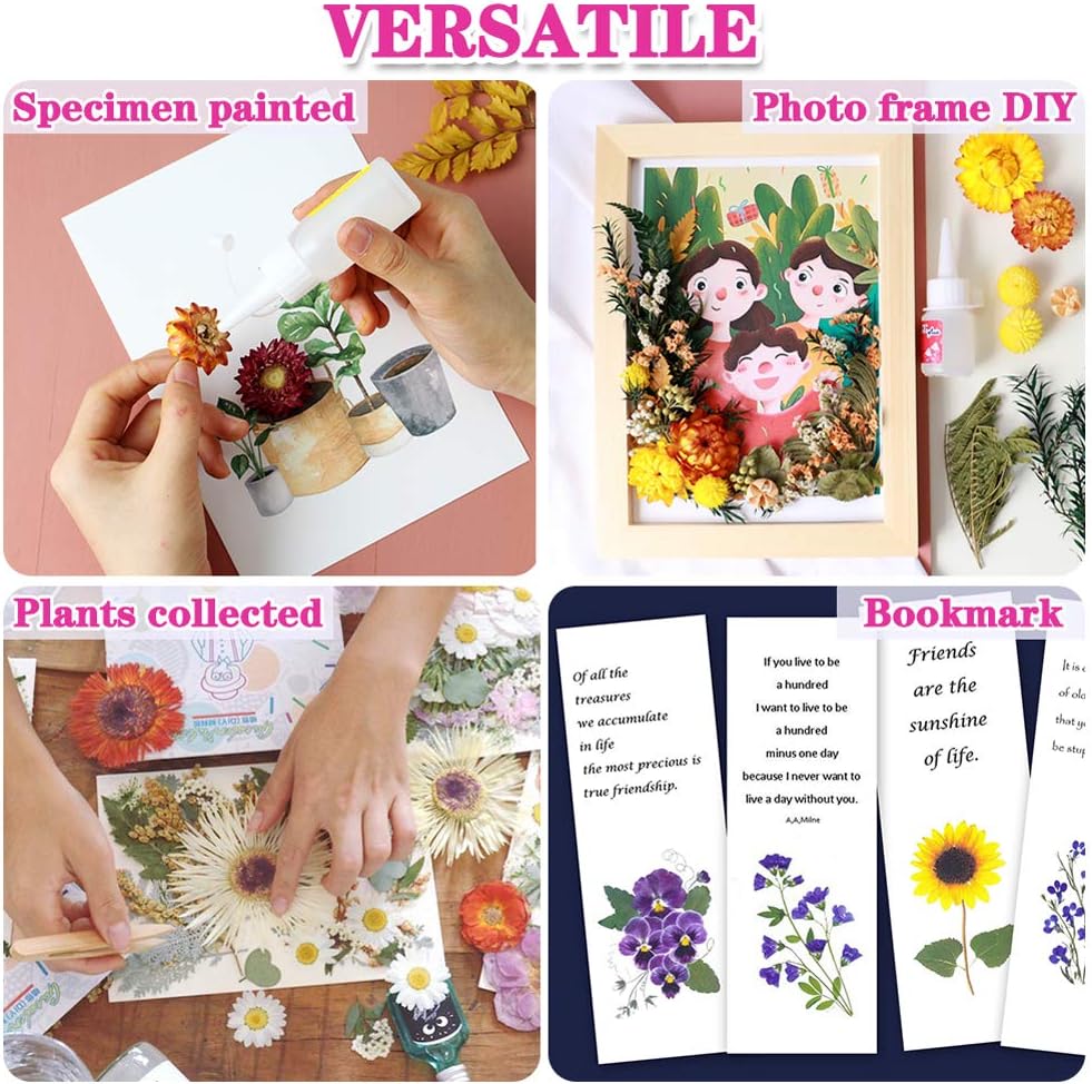 Vignee Real Dried Pressed Leaf Flowers-Multiple Colorful Pressed Flowers Daisies for Craft Resin Jewelry Making Art Craft DIY（Blue）