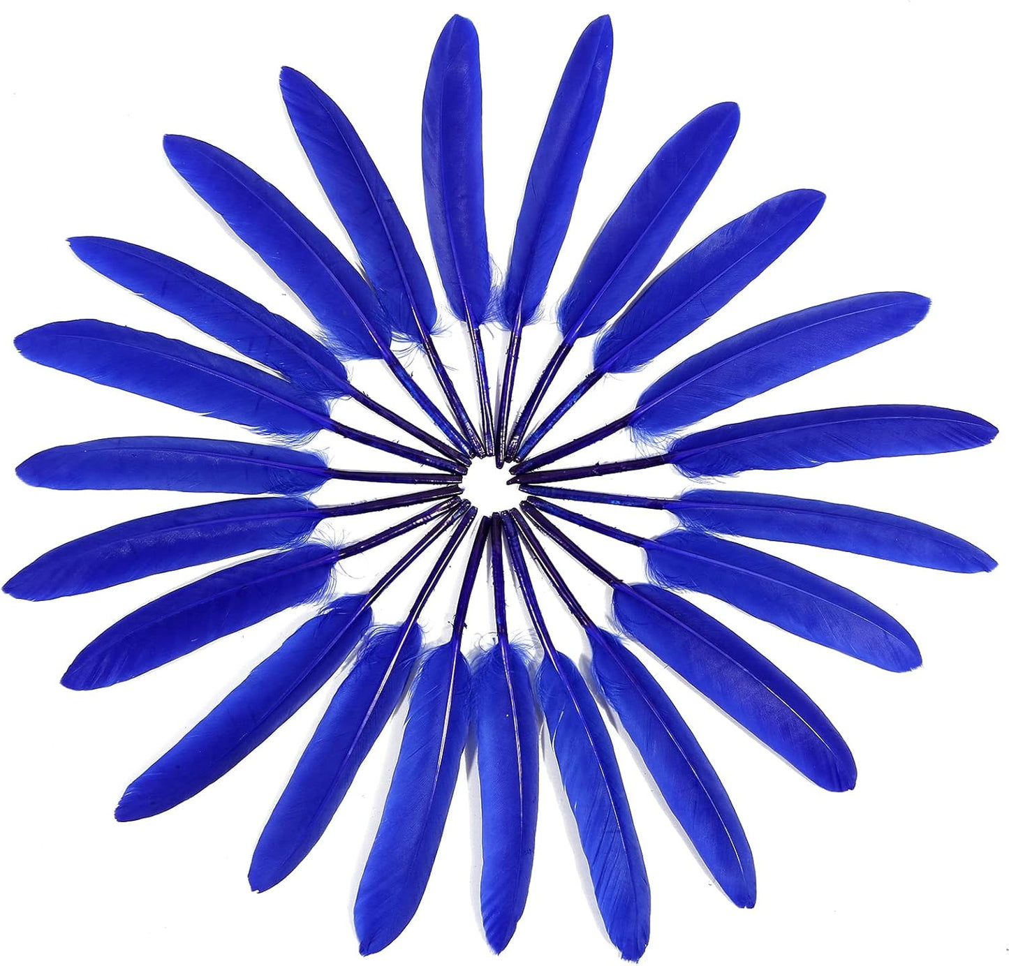 FeelfunFeather 120pcs Blue Goose Cochettes Feather Natural Bulk 4-6 inch 10-15cm for Wedding Party Christmas Decorations DIY Crafts Goose Cochettes Feather