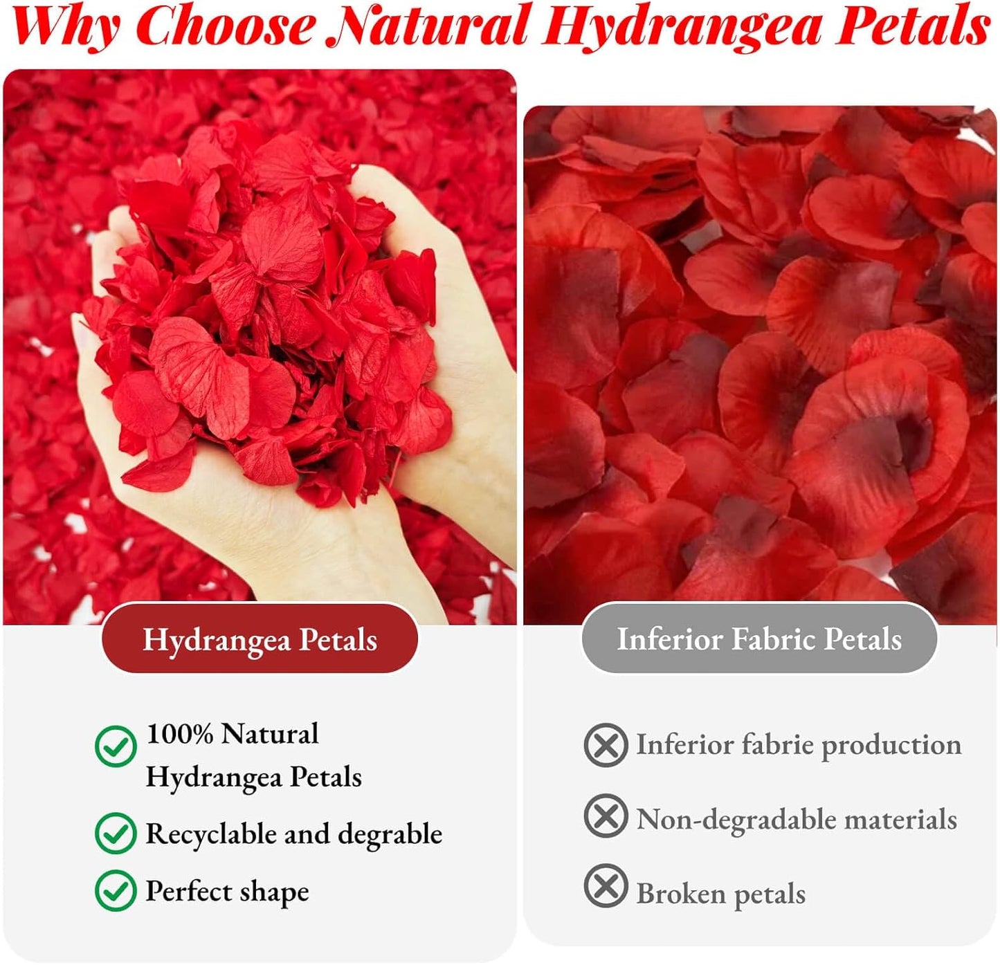 1500Pcs Real Dried Red Hydrangea Flower Petals - Natural small Petals for Wedding, Party Confetti, Valentine's Day, Flower Girl Baskets, Romantic Night, Proposal Decor, Handcrafts (1.06 oz)