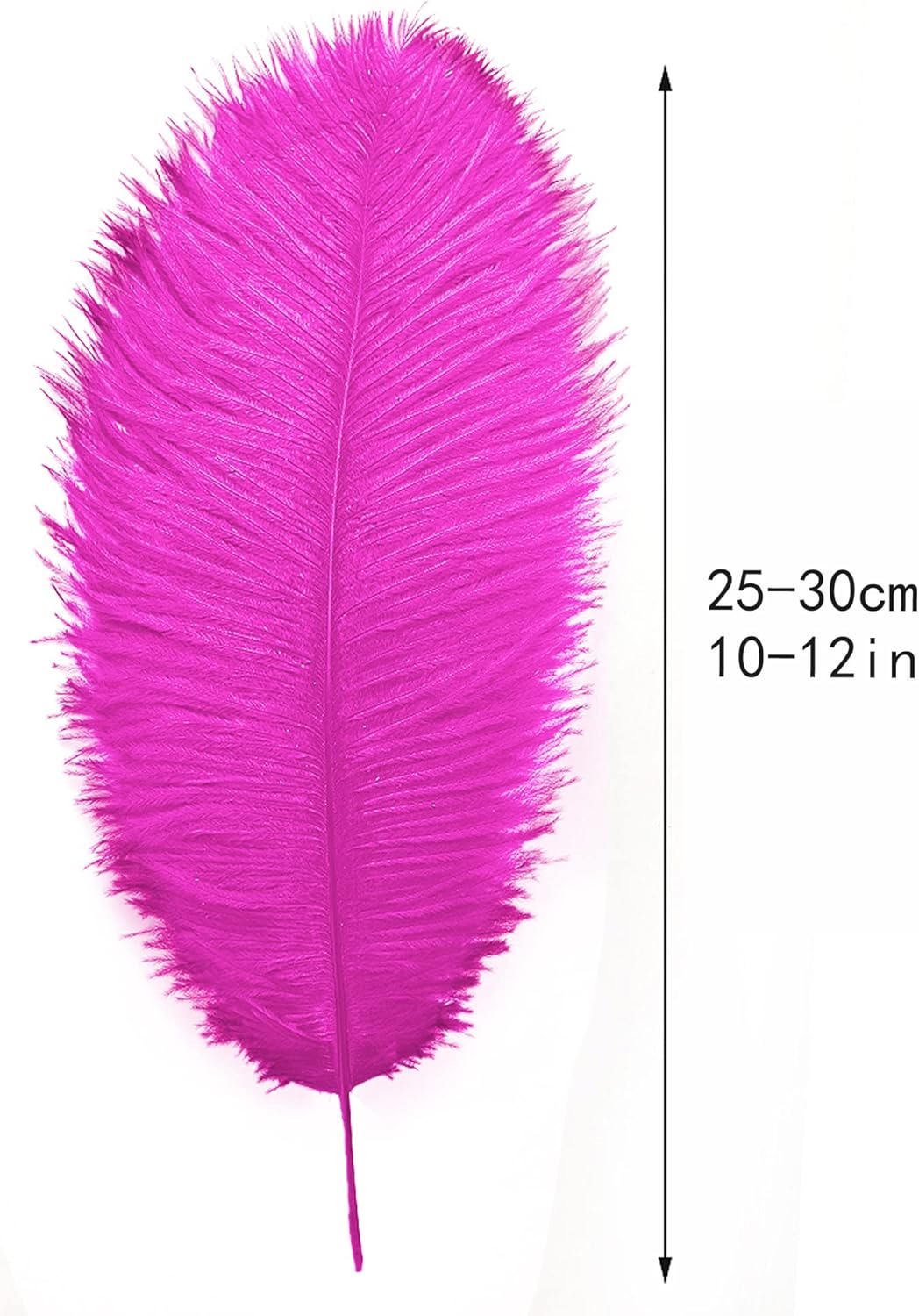 Ballinger Fuchsia Large Ostrich Feathers - 24pcs 10-12inch Craft Feathers Bulk for r Party Centerpieces, Flower Arrangement and Home Decor