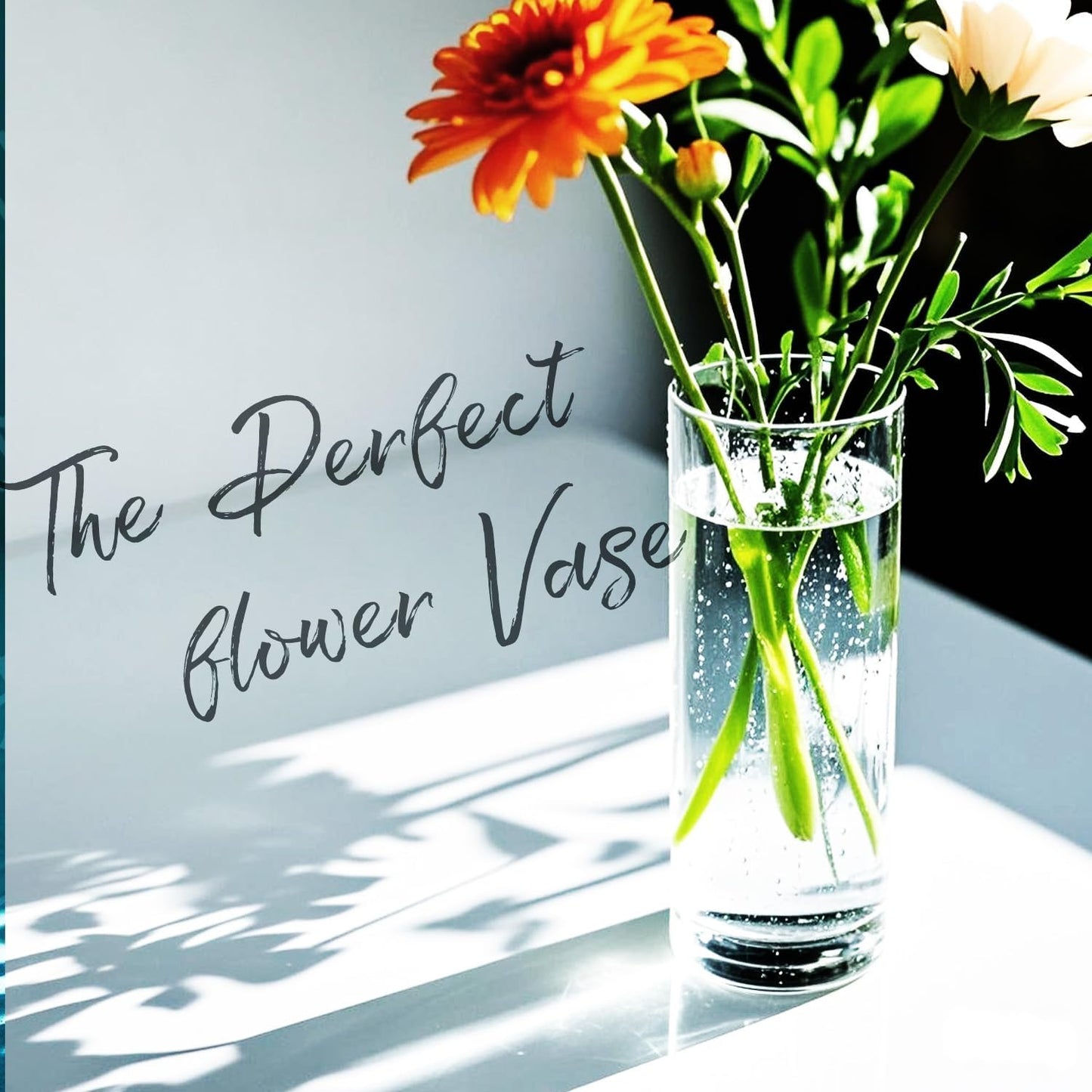 60pcs Glass Vase Cylinder Vases for Centerpieces Small Flower Glass Vases Home Decor Centerpiece Table Clear Flower Vase Decorations for Wedding＆Holiday 6，6，7.8，9.8，11.8 Inch Tall