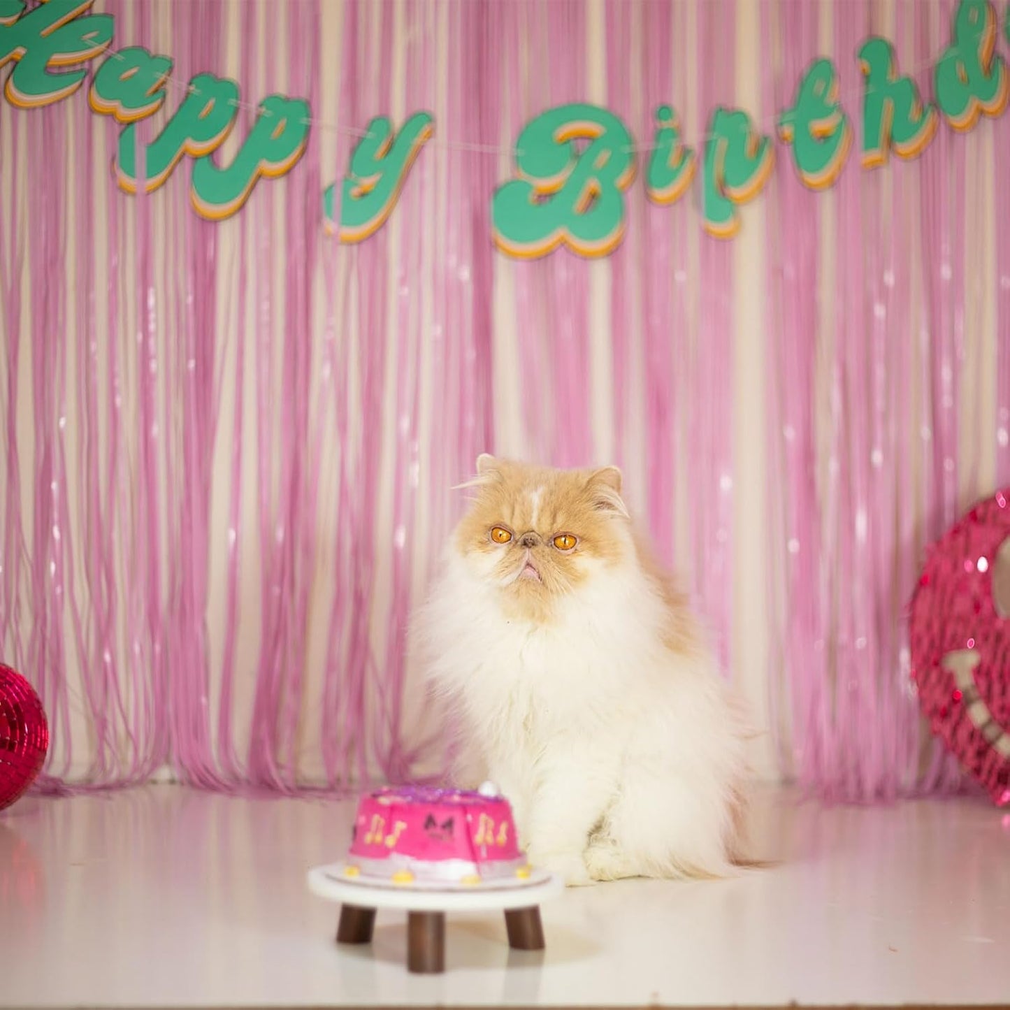 Pink Party Streamers Foil Fringe Backdrop Curtains Tinsel Streamers Birthday Party Decorations Fringe Backdrop for Birthday Party Graduation Bridal Shower