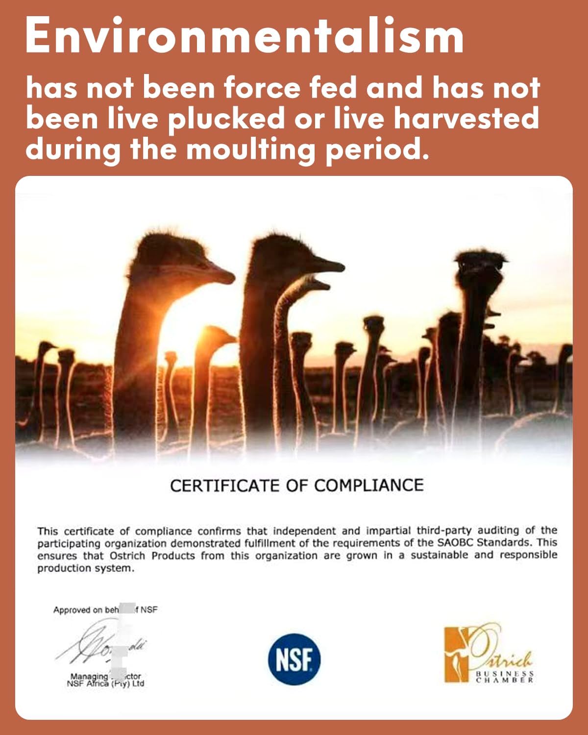 NEWONG 30pcs Brown Ostrich Feathers Natural Bulk 11-14inch(28-35cm) Vase Craft Wedding Home Party Centerpieces Christmas Day Decoration