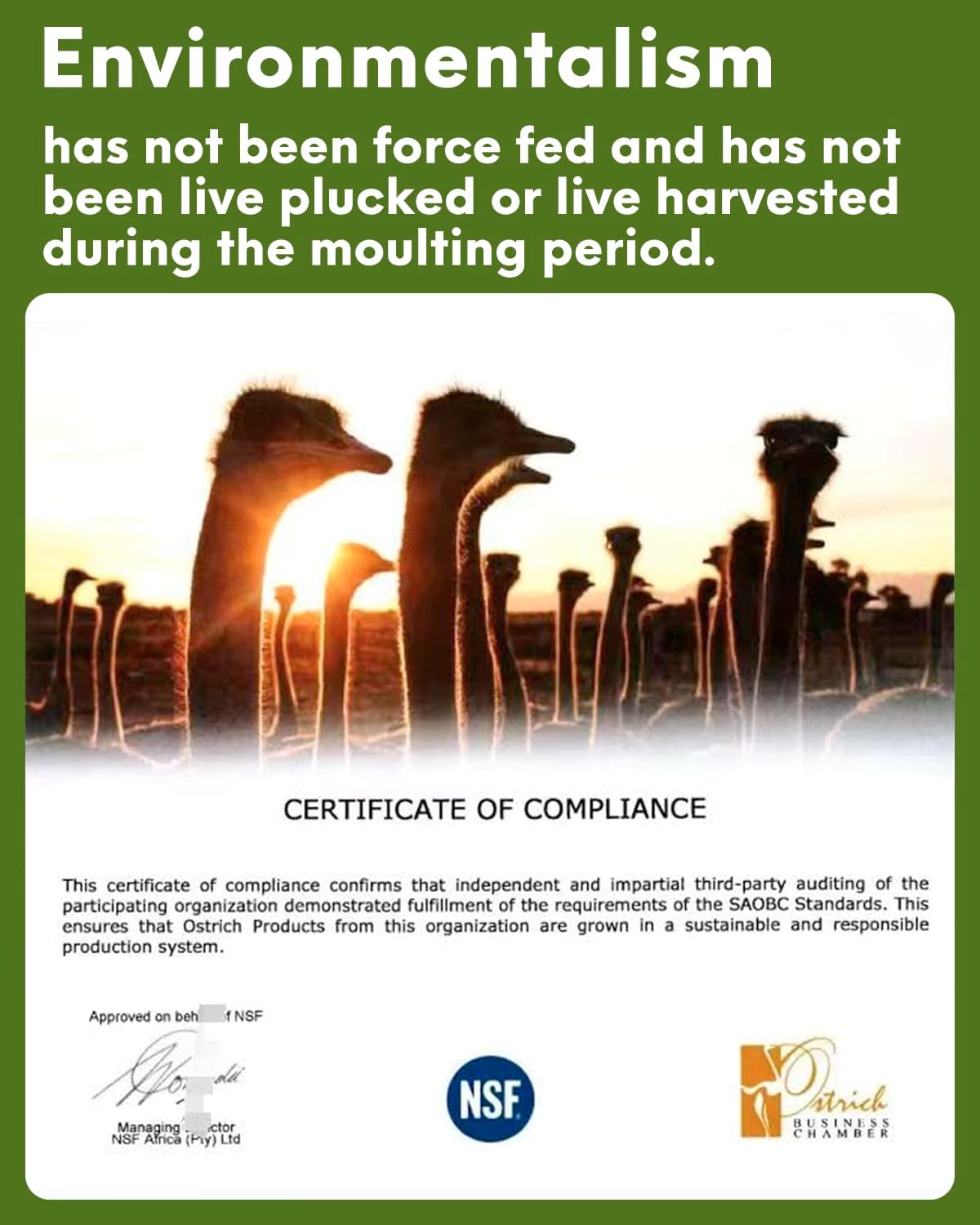 NEWONG 30pcs Fruit Green Ostrich Feathers Natural Bulk 9-12inch(23-30cm) Vase Craft Wedding Home Party Centerpieces Christmas Day Decoration