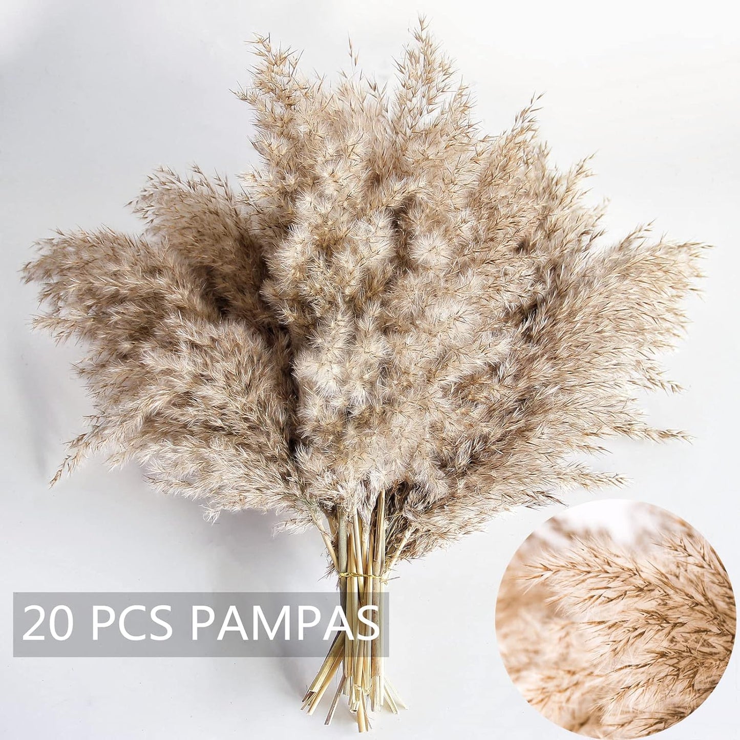 Pampas Grass Decor, Natural Dry Pampas Grass Small, Short Pampass Bulk for Farmhouse, Wall, Kitchen, Bedroom Decor, Office Decor (17 inch )