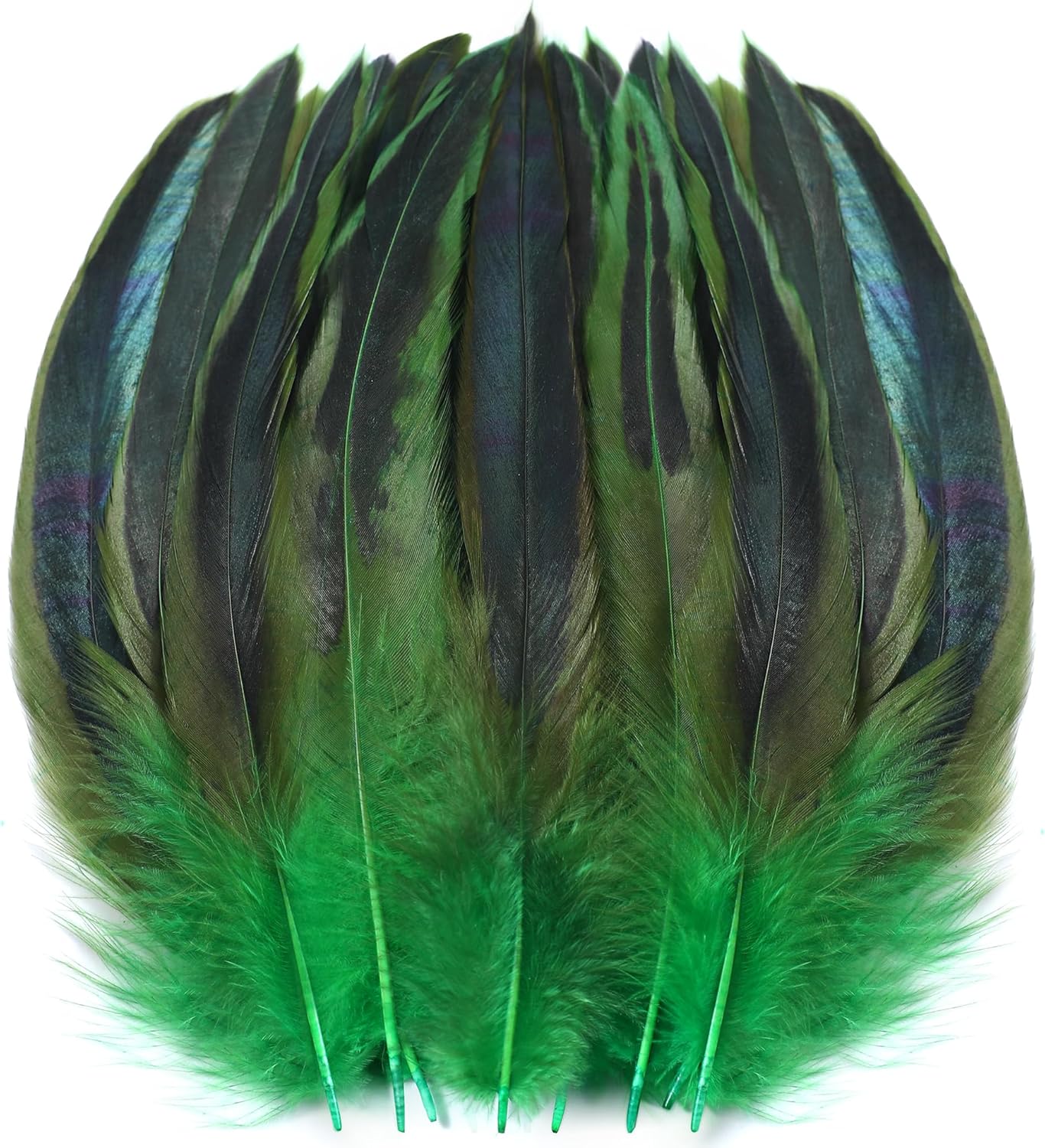 SOGUGOM Green Rooster Tail Feathers - 200 pcs 5-7 inch Natural Rooster Tail Feathers Bulk for Mardi Gras, Costume and Party(Green)