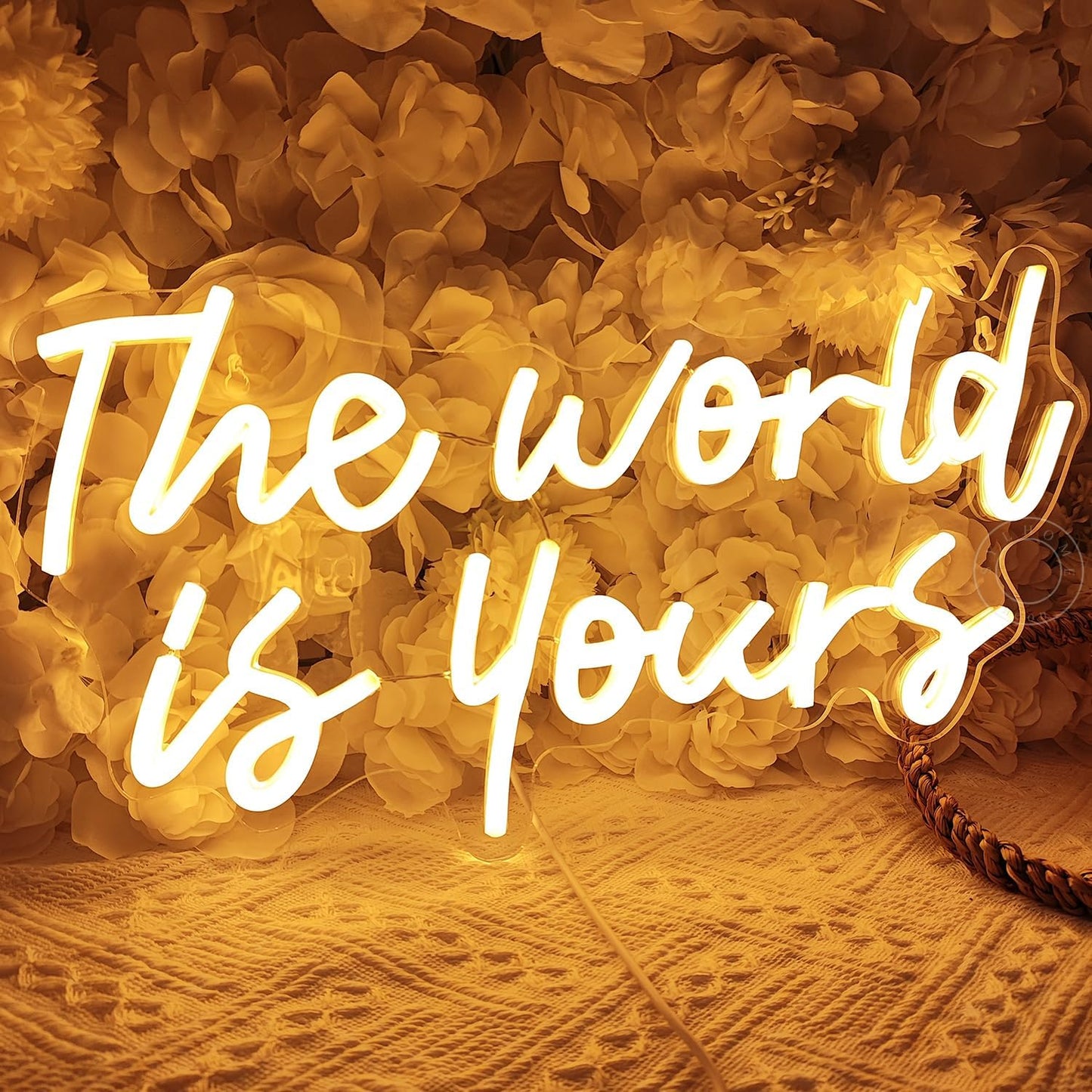 SYLHOME The World Is Yours Led Neon Light Sign Cool Bedroom Game Kids Room Wall Decor Sign Birthday Christmas Party Home Pub Club Bar Inspirational Light Up Sign USB 15.75"X8.46" Warm