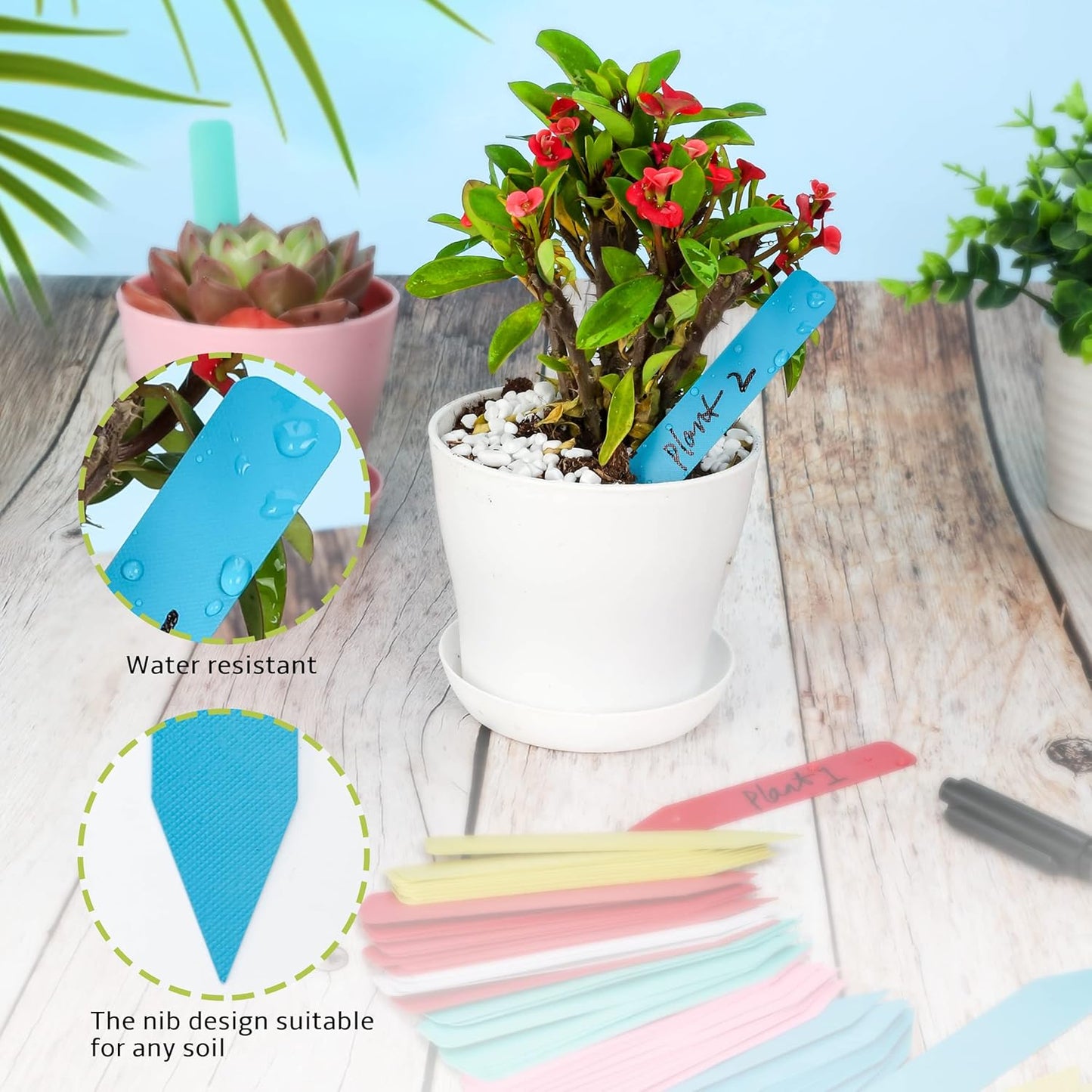 Plant Labels 500Pcs 4 Inch Plastic Plant Name Tags for Seedlings Garden Labels Markers Nursery Plant Tags Seed Labels for Outdoor Garden Plant Label Stakes with Permanet Marking Pen (Mix-Color)