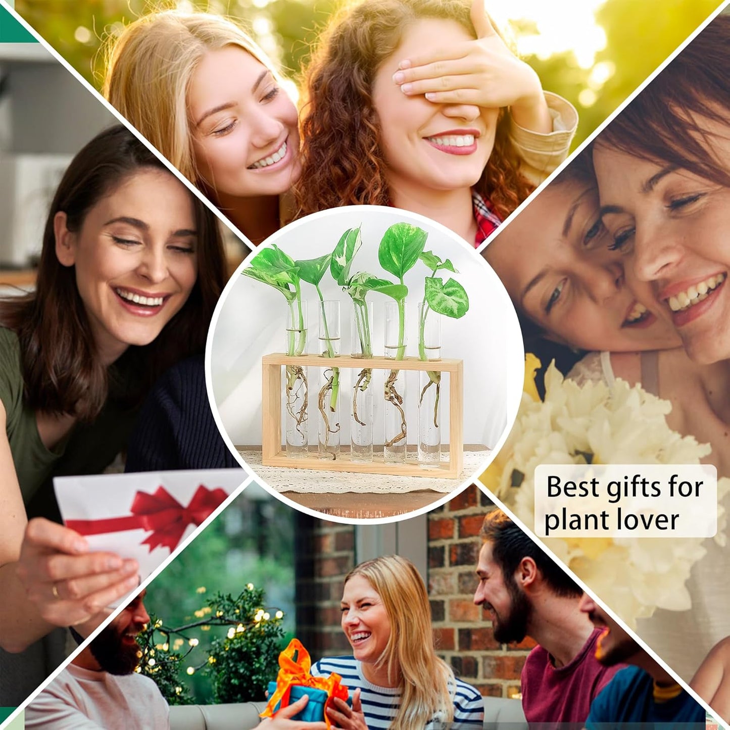 Ivolador Plant Propagation Station Terrariumin Wall Test Tube Vases Bud Tabletop Glass Wooden Stand with 5 Propagation Tubes for Propagating Hydroponic Plants Home Garden Wedding Decoration-Beige