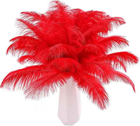 THARAHT 24pcs Red Ostrich Feathers Natural Bulk 8-10Inch 20cm-25cm for Wedding Party Centerpieces Easter Gatsby and Home Decorate Ostrich Feathers