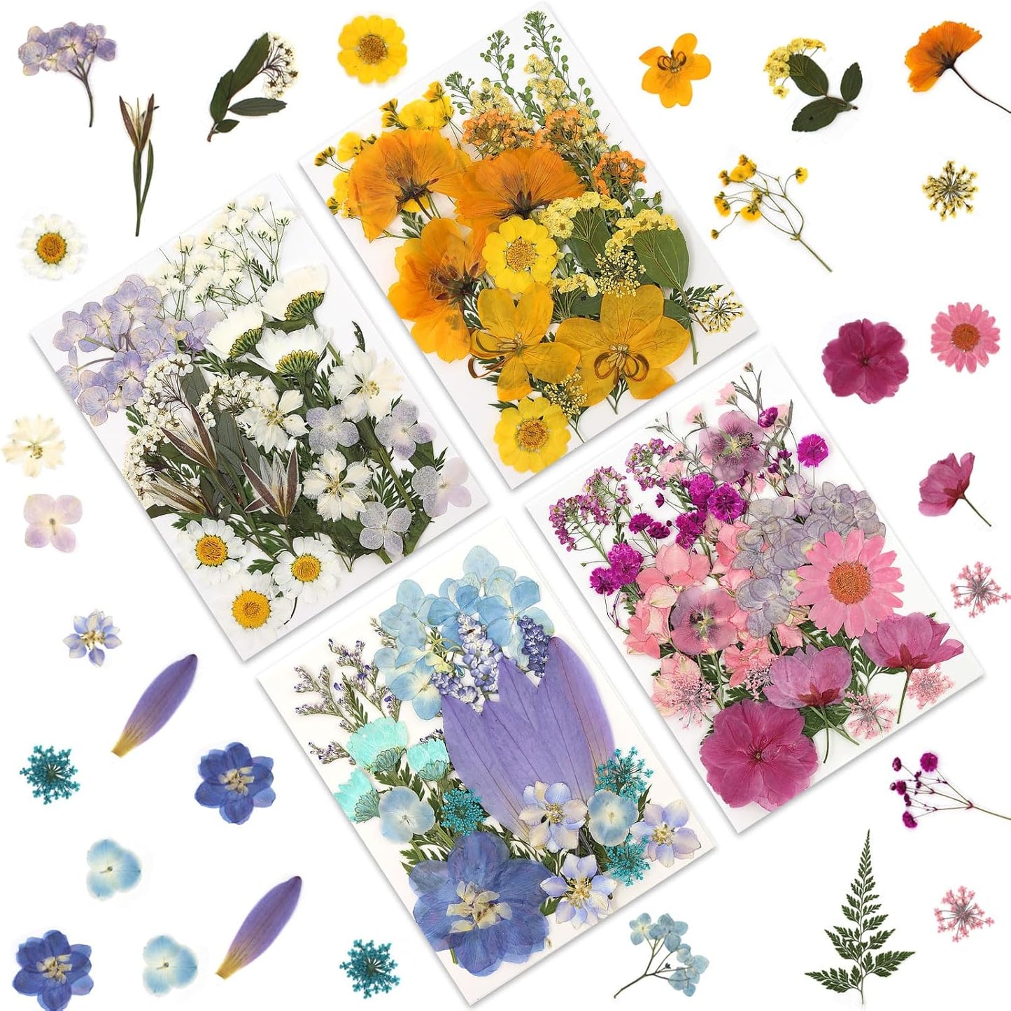 110P 4 Color Long Stem Dried Flowers for Crafts, Real Natural Pressed Flowers in Mixed Tones for Resin Art, DIY Crafts, Jewelry & Candle Decor – Tweezers Included