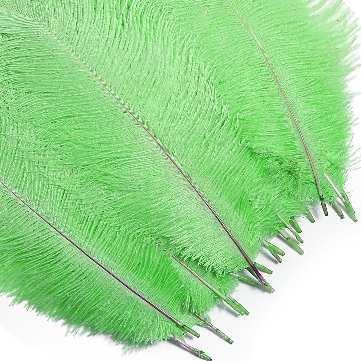 Bulk Grass Green Ostrich Feathers - 12pcs 12-14inch Crafting Supplies for Centerpiece Table Decorations