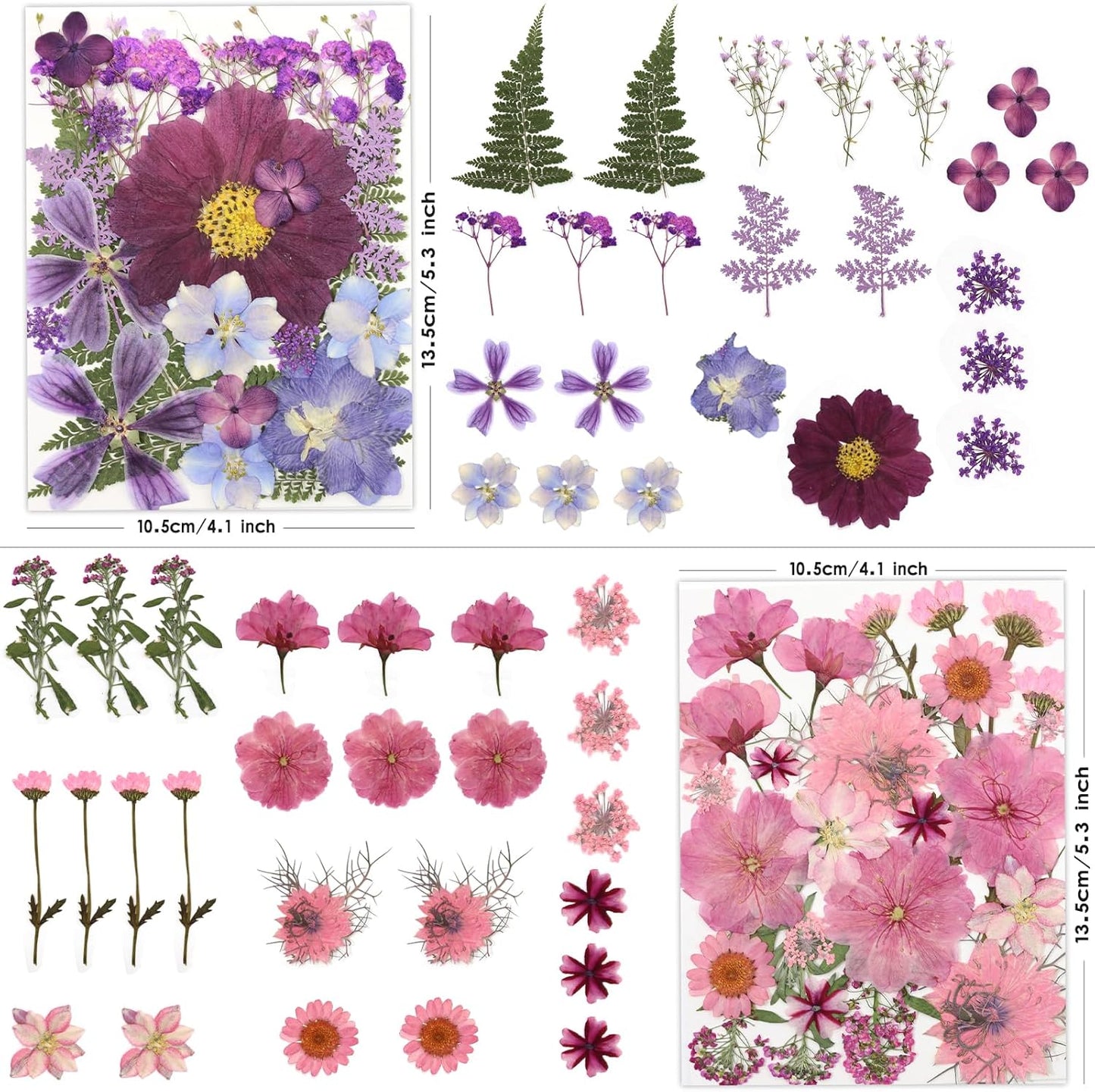 100 Pcs Dried Pressed Flowers for Crafts, Preserved & Dehydrated in Pink/Purple/Blue for Resin Art, Jewelry, Candle/Soap Making - Tweezers Included