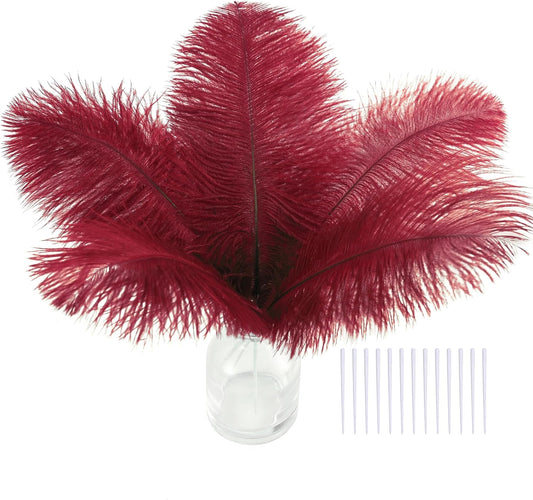 SOGUGOM Burgundy Craft Ostrich Feathers - 30PCS 8-10 inch Ostrich Feathers Kit for Centerpieces, Kindergarten Crafts, Dream Catchers and DIY Projects(Wine Red)