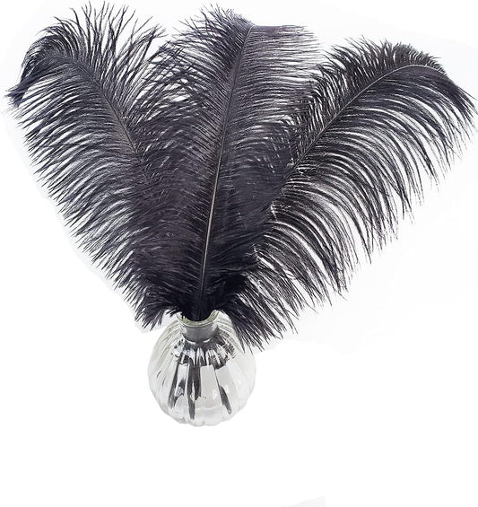 Happy Feather 16-18 inch Black Ostrich Feathers Craft for Wedding Party Centerpieces Home Decoration DIY Craft Pack of 10