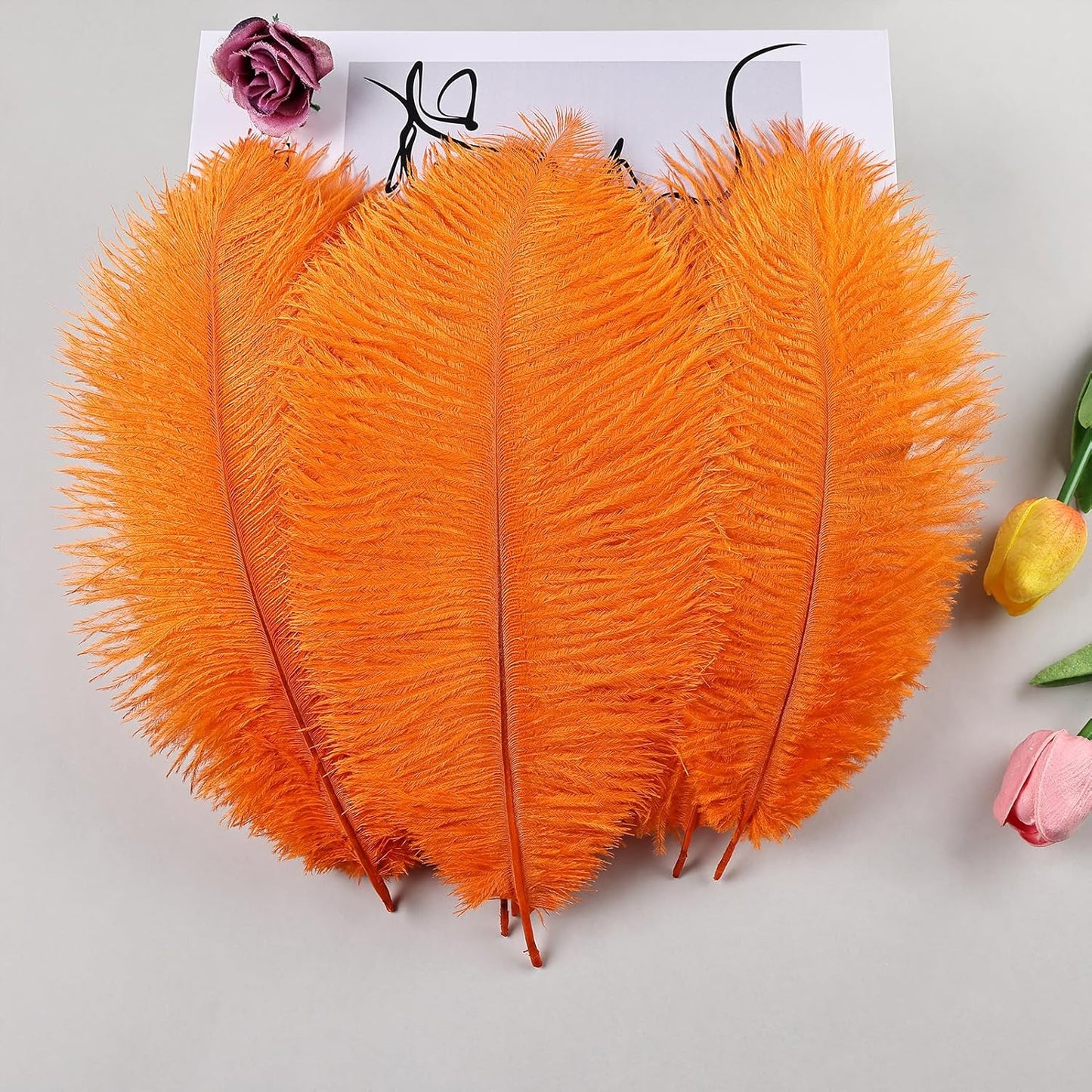 THARAHT Orange Ostrich Feathers 12pcs Natural Bulk 8-10Inch 20cm-25cm for Crafts Wedding Party Centerpieces Halloween and Home Decoration Feathers