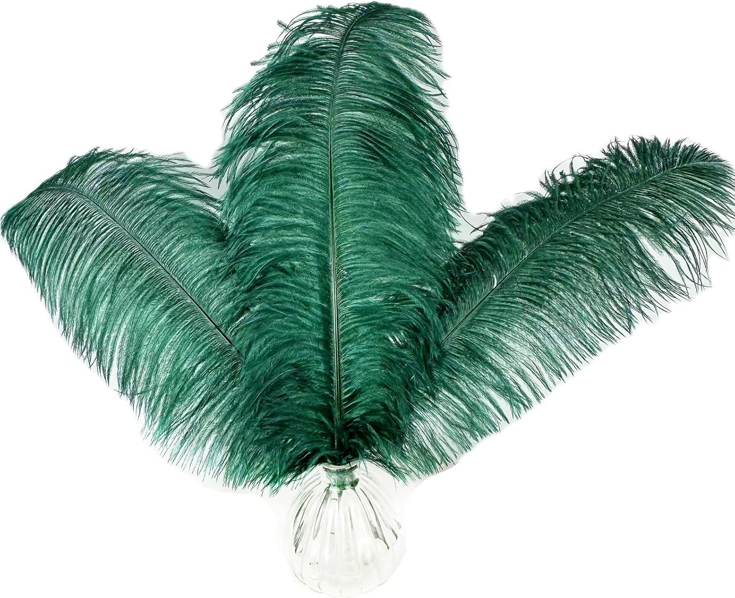 Happy Feather 16-18 inch Blackish Green Ostrich Feathers Craft for Wedding Party Centerpieces Home Decoration DIY Craft Pack of 10
