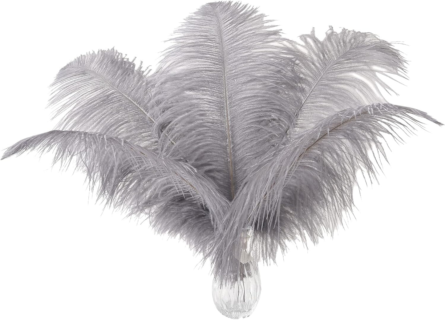 Ballinger Natural Gray Ostrich Feathers - 24pcs 8-10inch for Wedding Party Centerpieces Home Decor