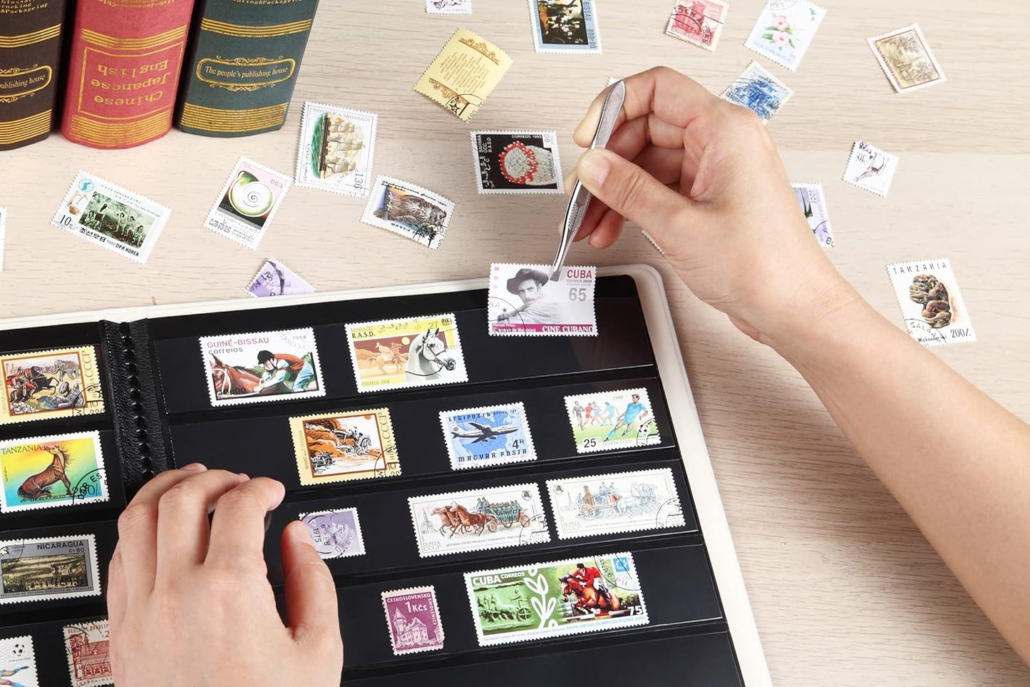 MUDOR Stamp Collecting Album for Collectors, 3 Rows Pockets, 10 Sheets Stamp Stockbook