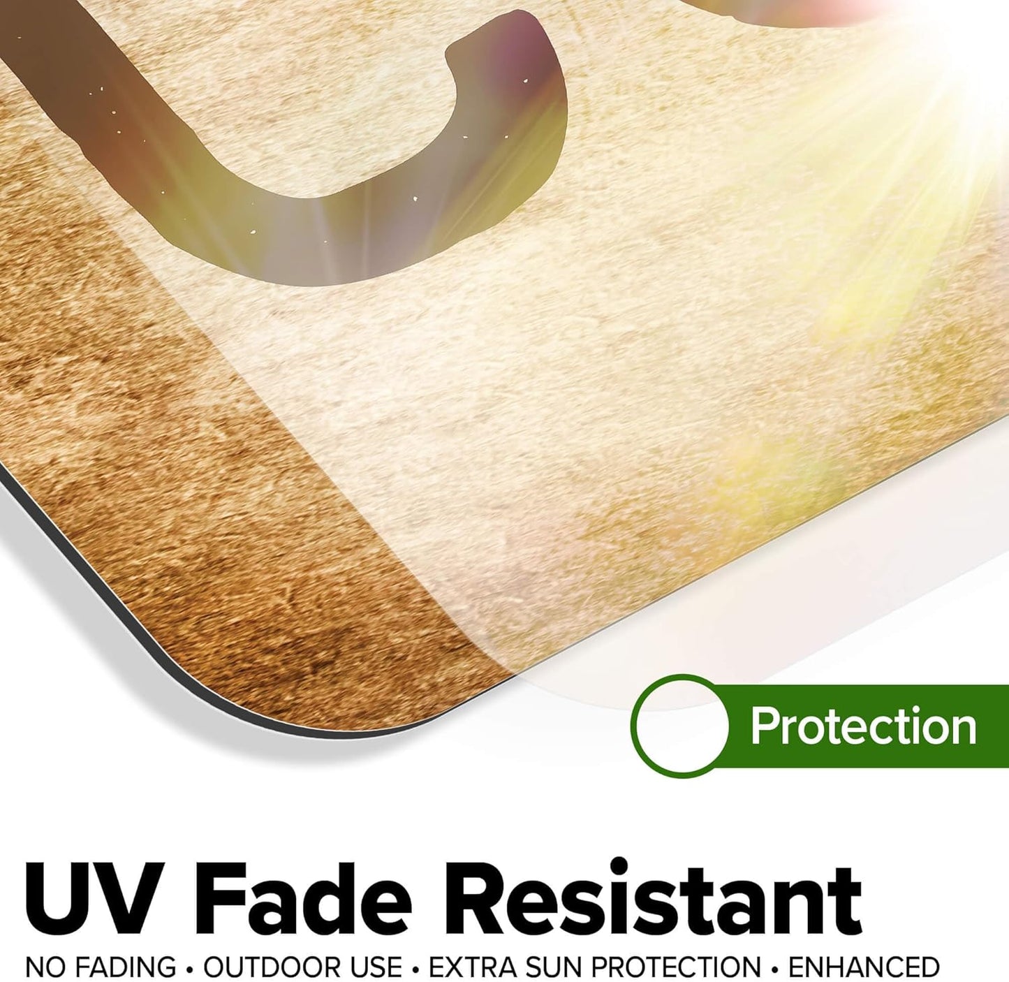 Custom Sign, Custom Street Sign, 11 Font Colors, 13 Font Styles, 4 Hole Options, 22 Sizes, 12x48 Inches, Rust Free DiBound, Fade Resistant, Made in USA by My Sign Center (Vintage)