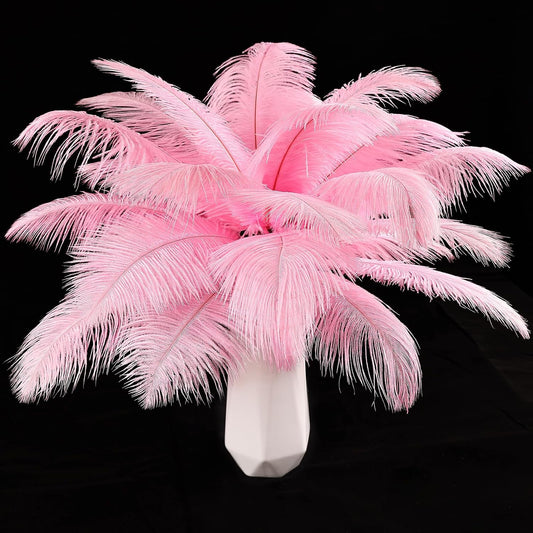 THARAHT Pink Ostrich Feathers 12pcs Natural Bulk 10-12Inch 25cm-30cm for Crafts Wedding Party Centerpieces Easter Gatsbi and Home Decoration Feathers
