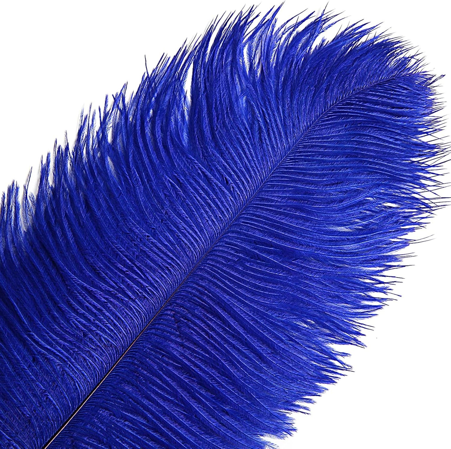 THARAHT Blue Ostrich Feathers 12pcs Large Natural Bulk 12-14Inch 30cm-35cm for Wedding Party Centerpieces Halloween and Home Decoration Feathers
