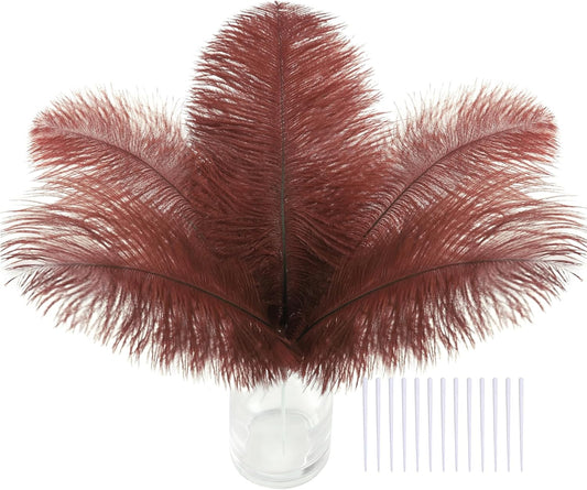 SOGUGOM Brown Craft Ostrich Feathers - 30PCS 8-10 inch Ostrich Feathers Kit for Centerpieces, Kindergarten Crafts, Dream Catchers and DIY Projects(Brown)