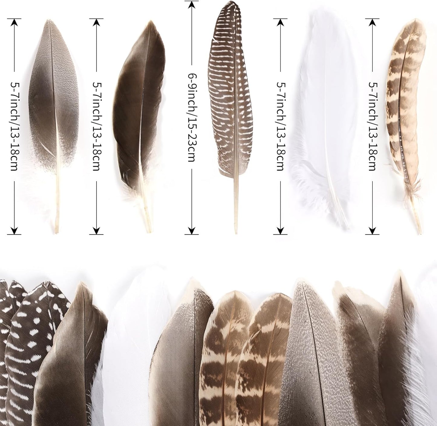 MAOFENG 20pcs Natural Pheasant Feathers Bulk 5 Styles Mixed Feathers Spotted Feathers for Craft DIY Wedding Home Hat Floral Arrangements Holiday Decorations