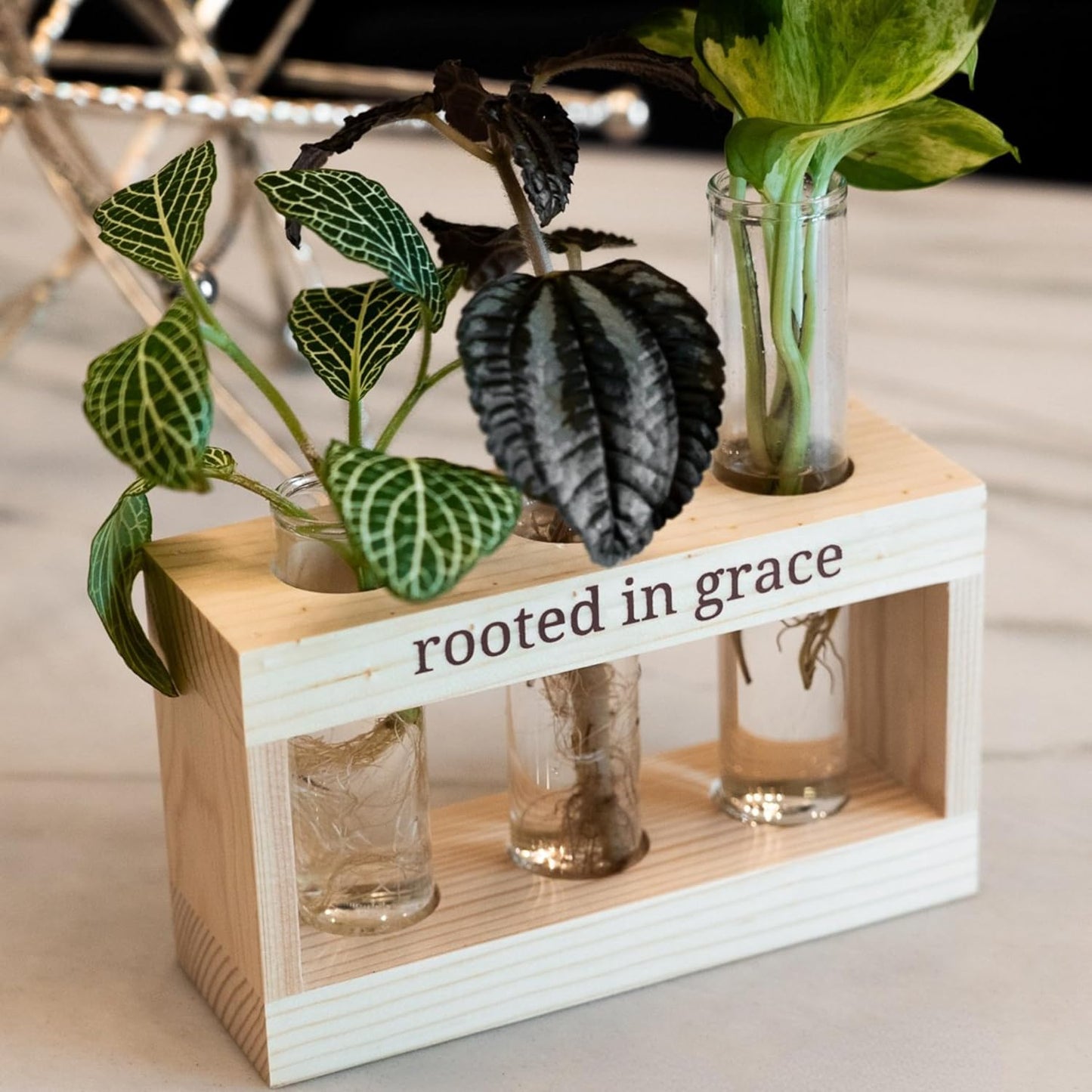 Rooted in Grace: Plant Propagation Stations: Plant Cutting Holder w/ 3 Glass Propagation Vases, Unique & Encouraging Christian Gifts for Women, Faith-Inspired Home Decor