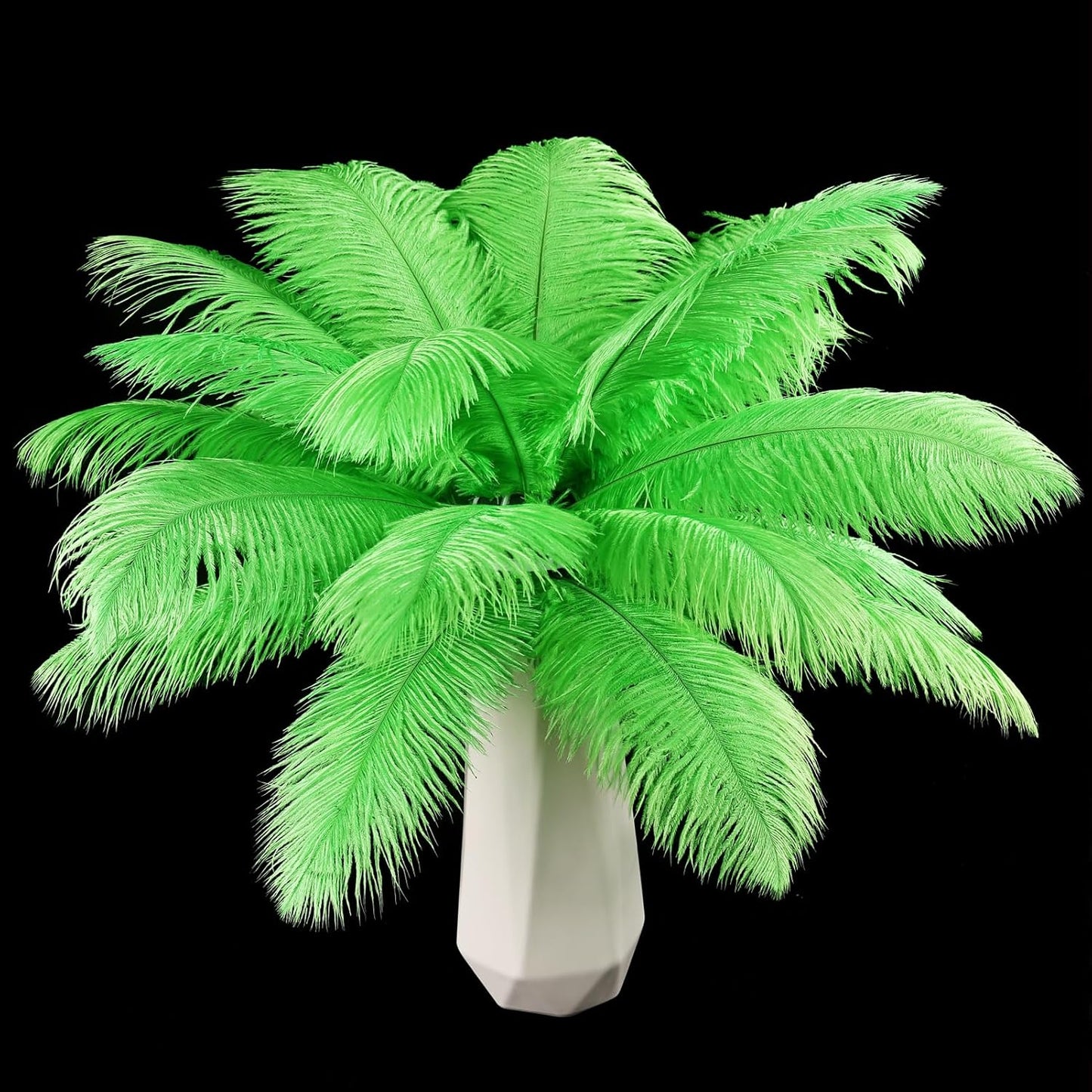THARAHT Green Ostrich Feathers 12pcs Natural Bulk 10-12Inch 25cm-30cm for Crafts Wedding Party Centerpieces Mardi Gras and Home Decoration Feathers