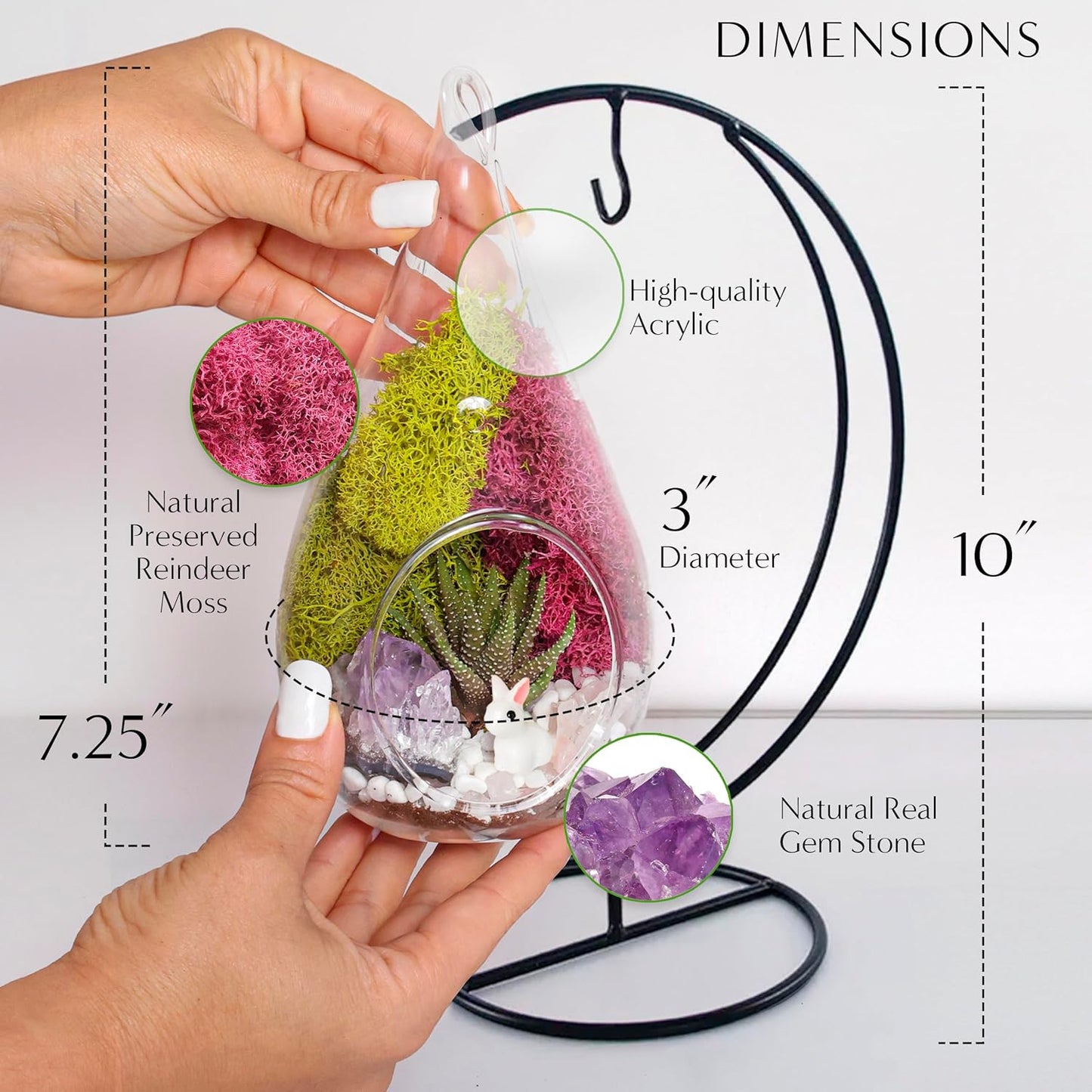 7" DIY Teardrop Terrarium Kit with Live Plants - Hanging Glass Planter with Stand for Adults & Kids - Build a Mini Ecosystem with Moss, Crystals, Tools - Made in The USA