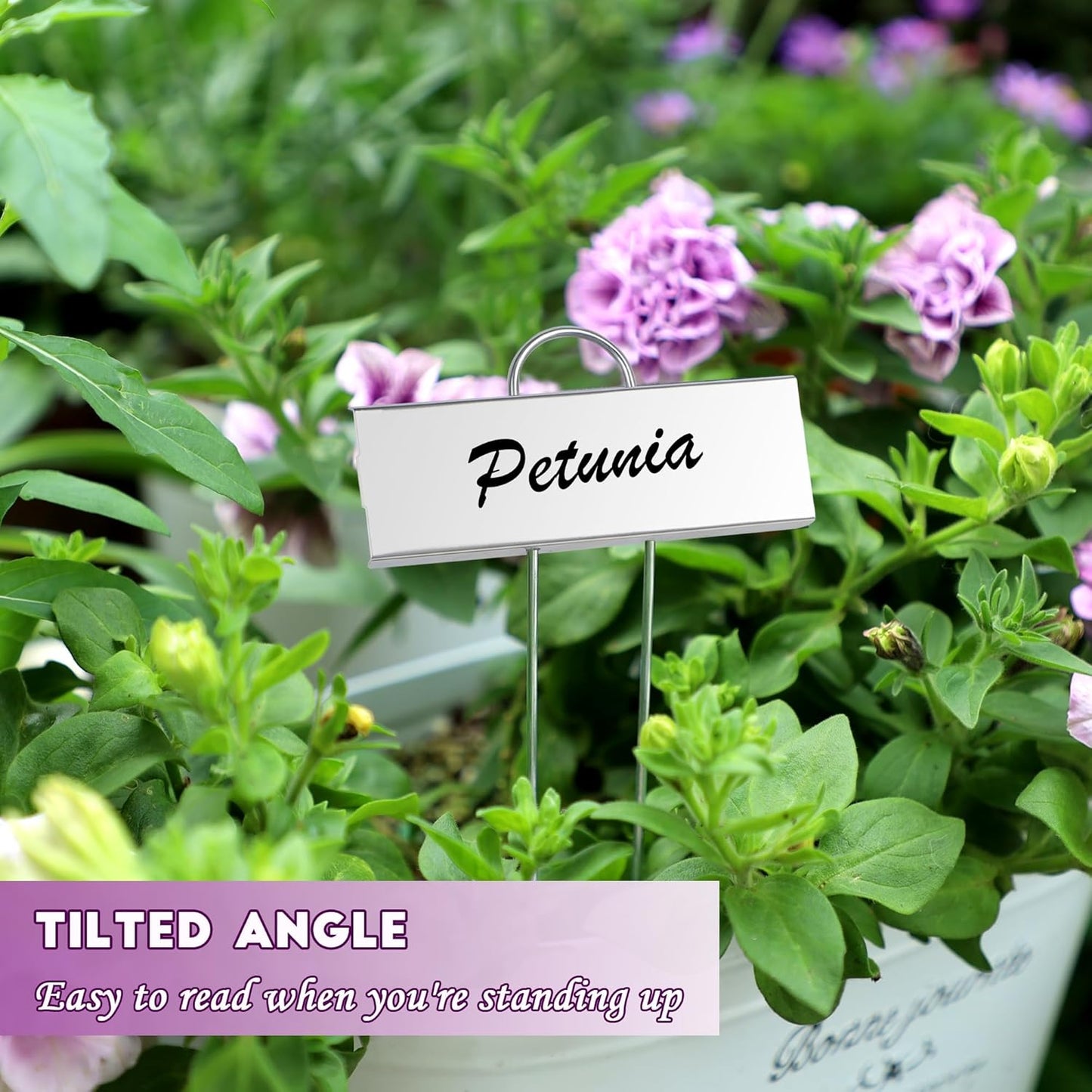 FORUP Metal Plant Labels, 30 Pack Garden Label Markers, Weatherproof Garden Stake Tags, Reusable Planting Gardening Markers, Silver