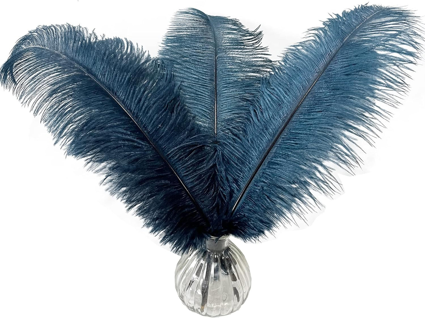 Happy Feather 16-18 inch Ostrich Feathers Craft for Wedding Party Centerpieces Home Decoration DIY Craft Pack of 10-Turquoise