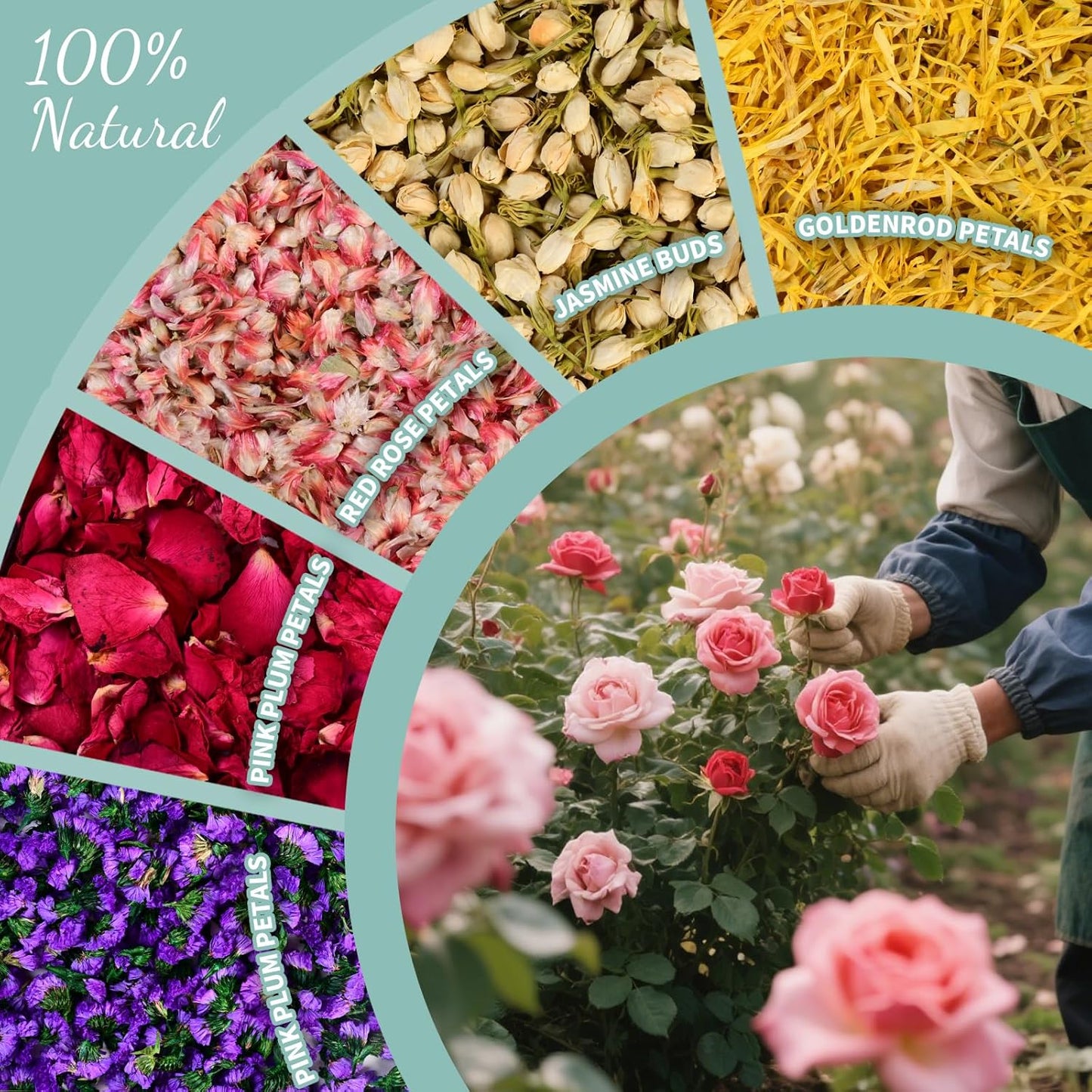 40+ Cups 9.3oz Real Biodegradable Flower Petal Wedding Confetti, 5 QT 5 Kinds Colorful Mixed Petal Confetti with Dried Rose Petal & Jasmine Buds, DIY Wedding Decor for Flower Girl Bridal