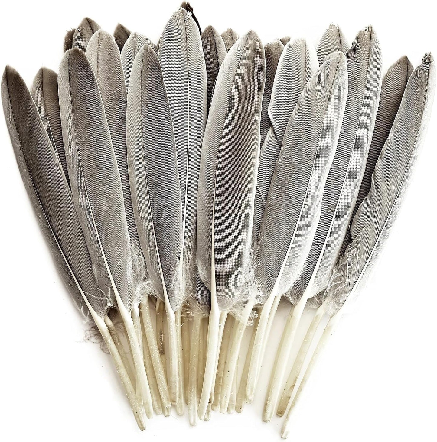 FeelfunFeather 120pcs Natural Gray Goose Cochettes Feathers Bulk 4-6 inches 10-15cm for Wedding Party Christmas Halloween Decorations DIY Crafts