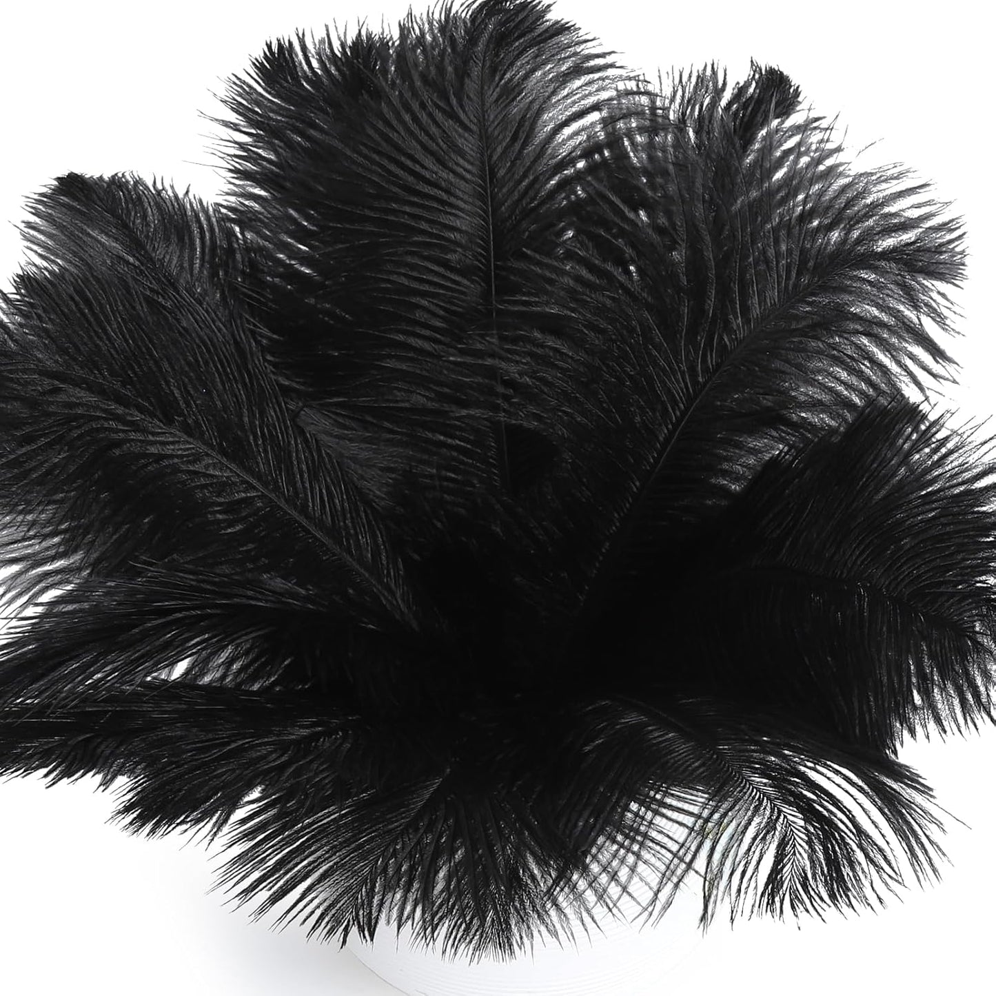 FANDAMEI 20 Pcs Black Ostrich Feathers, Black Feathers, 8-10 inch (20-25cm), Feathers for Crafting, Craft Feathers for Centerpiece Table Decorations, Home Decorations, Black Party Decorations